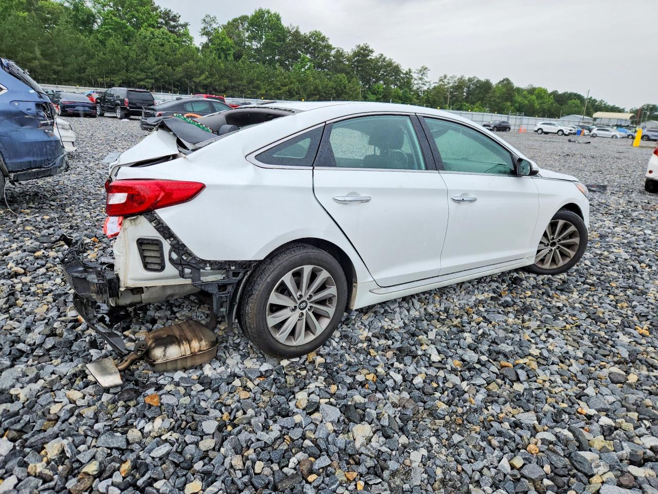 2017 Hyundai Sonata Sport White vin: 5NPE34AF9HH485180