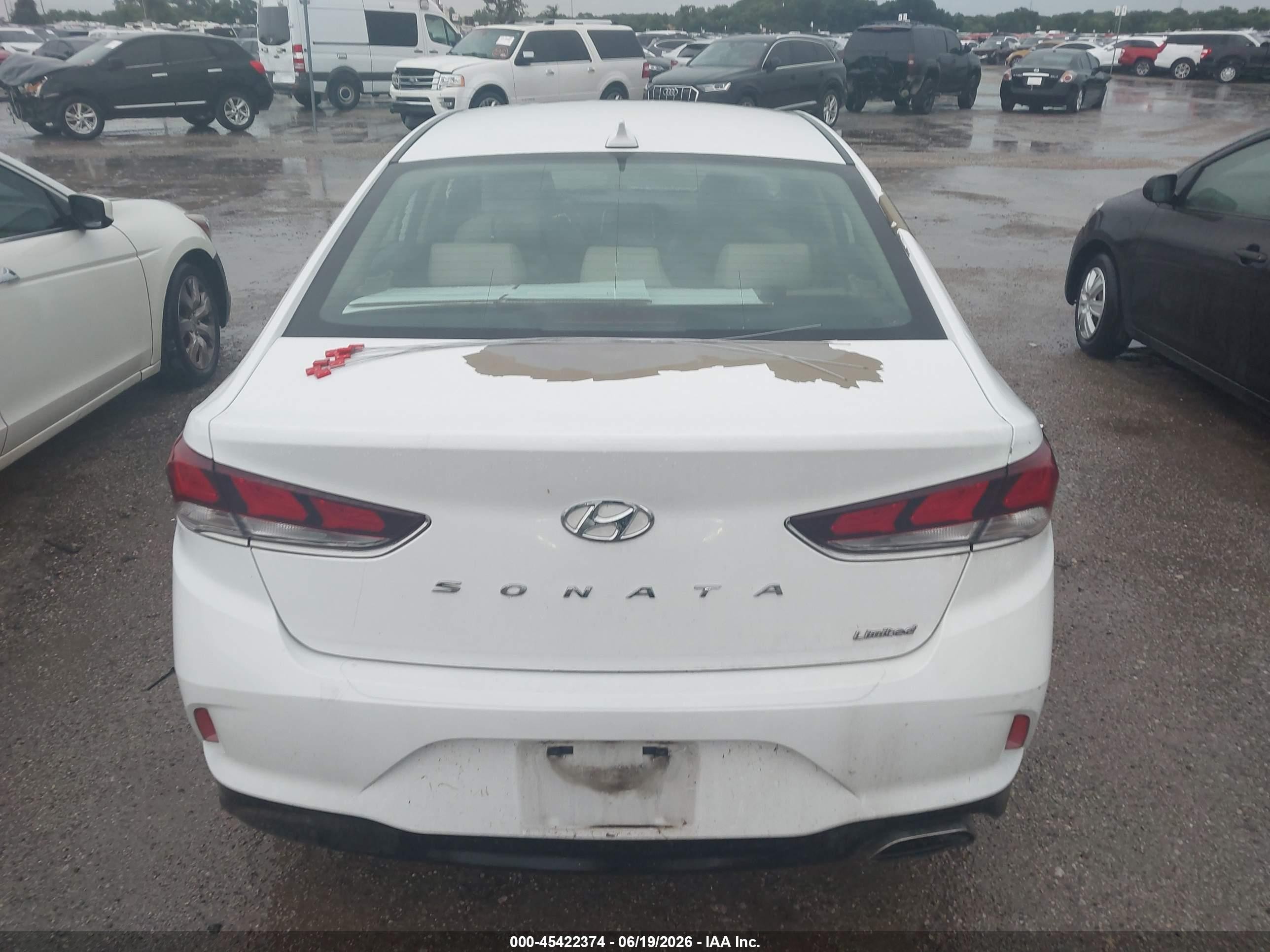 2019 Hyundai Sonata Limited Белый vin: 5NPE34AF9KH789990