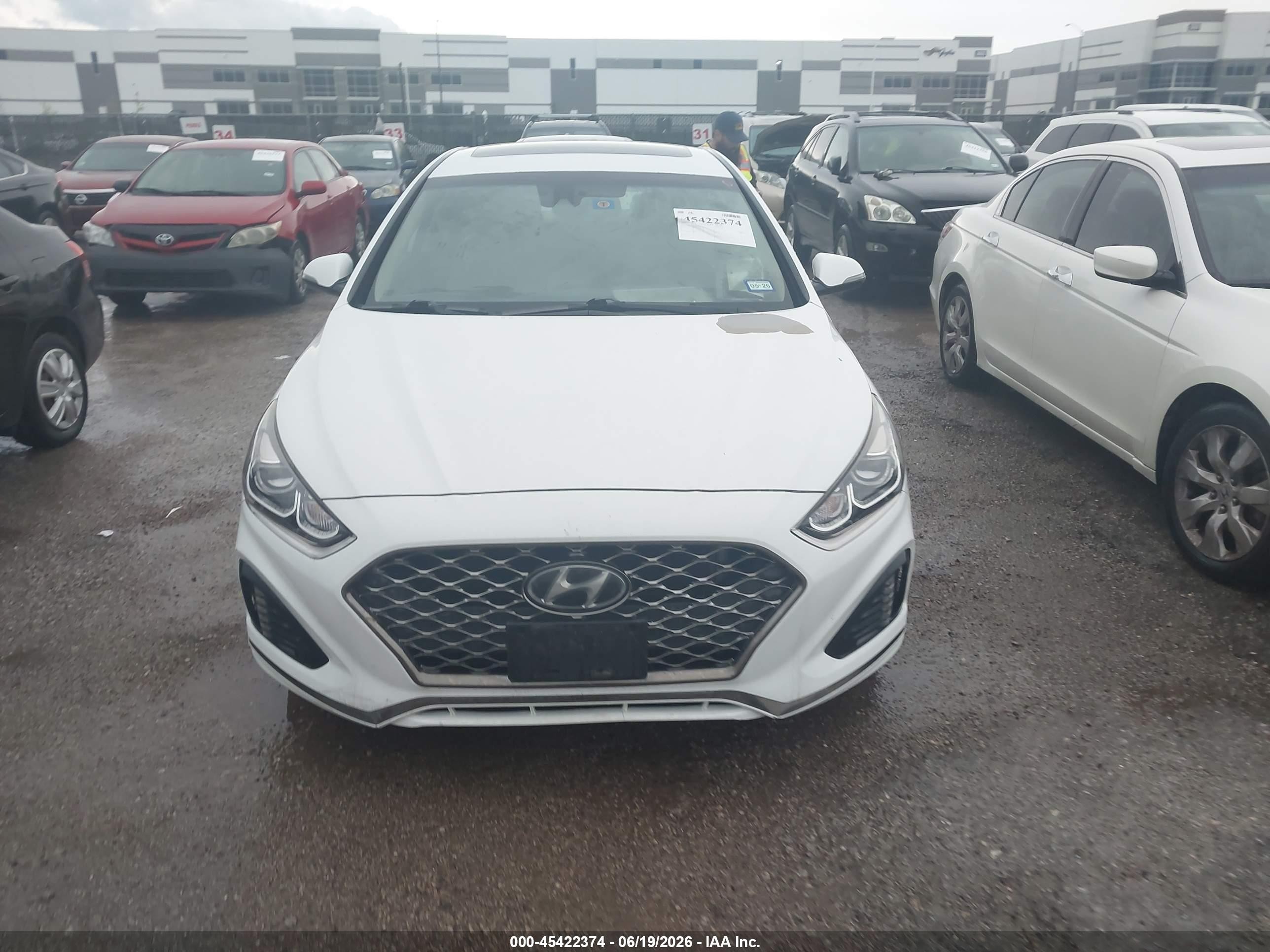 2019 Hyundai Sonata Limited Белый vin: 5NPE34AF9KH789990