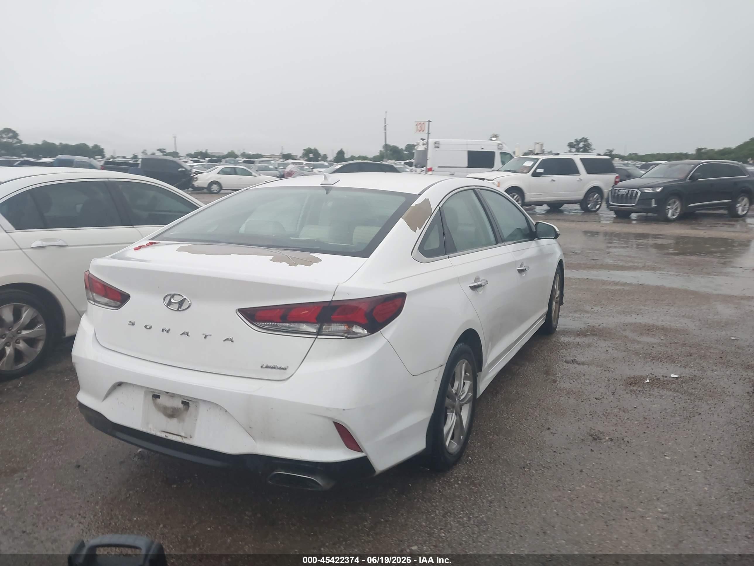 2019 Hyundai Sonata Limited Белый vin: 5NPE34AF9KH789990