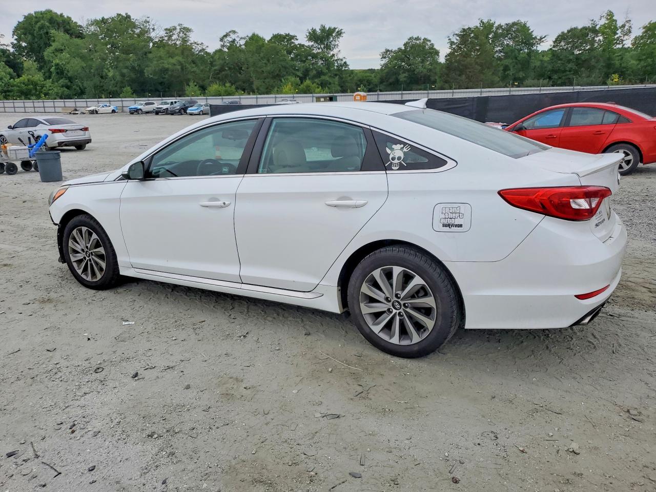 2015 Hyundai Sonata Sport White vin: 5NPE34AFXFH056689