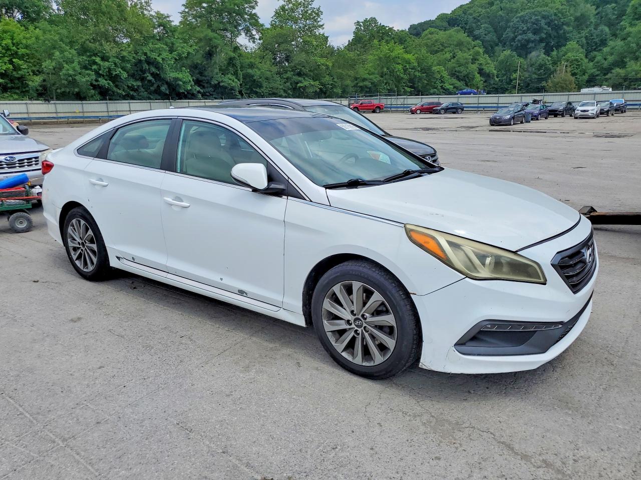 2015 Hyundai Sonata Sport White vin: 5NPE34AFXFH098733