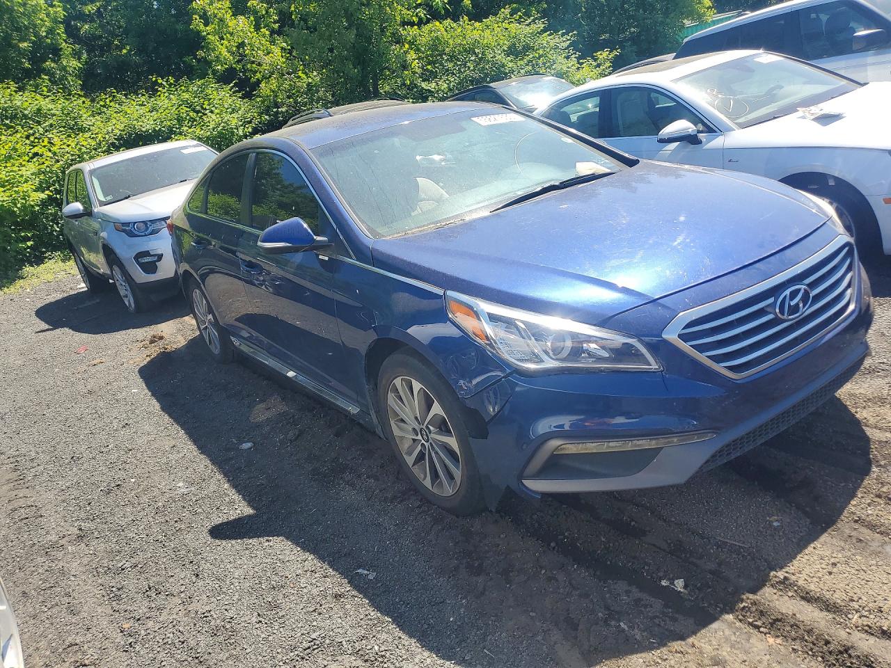 2016 Hyundai Sonata Sport Синий vin: 5NPE34AFXGH273998