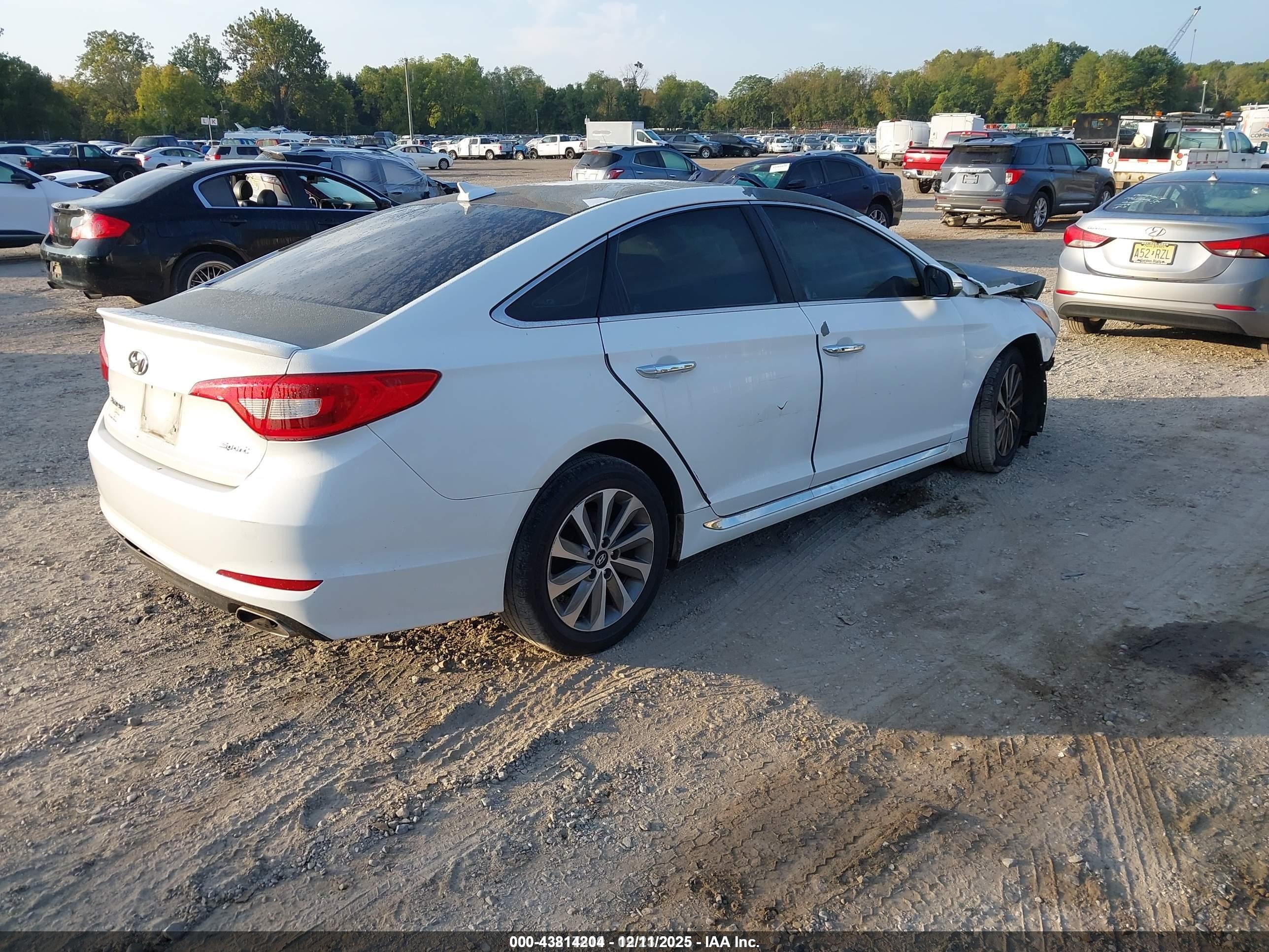 2017 Hyundai Sonata Sport Белый vin: 5NPE34AFXHH509311