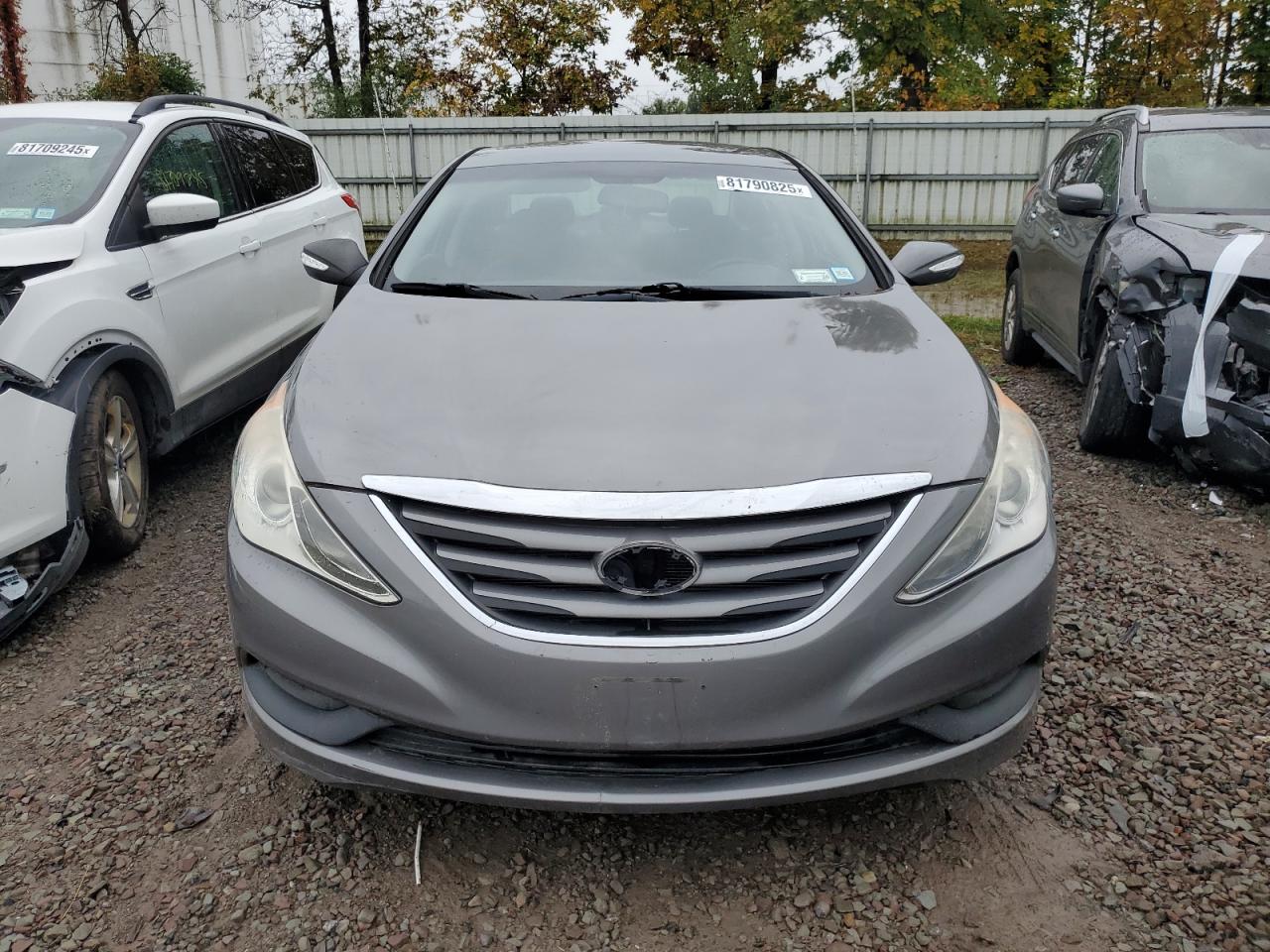 2014 Hyundai Sonata Gls Gray vin: 5NPEB4AC1EH936204