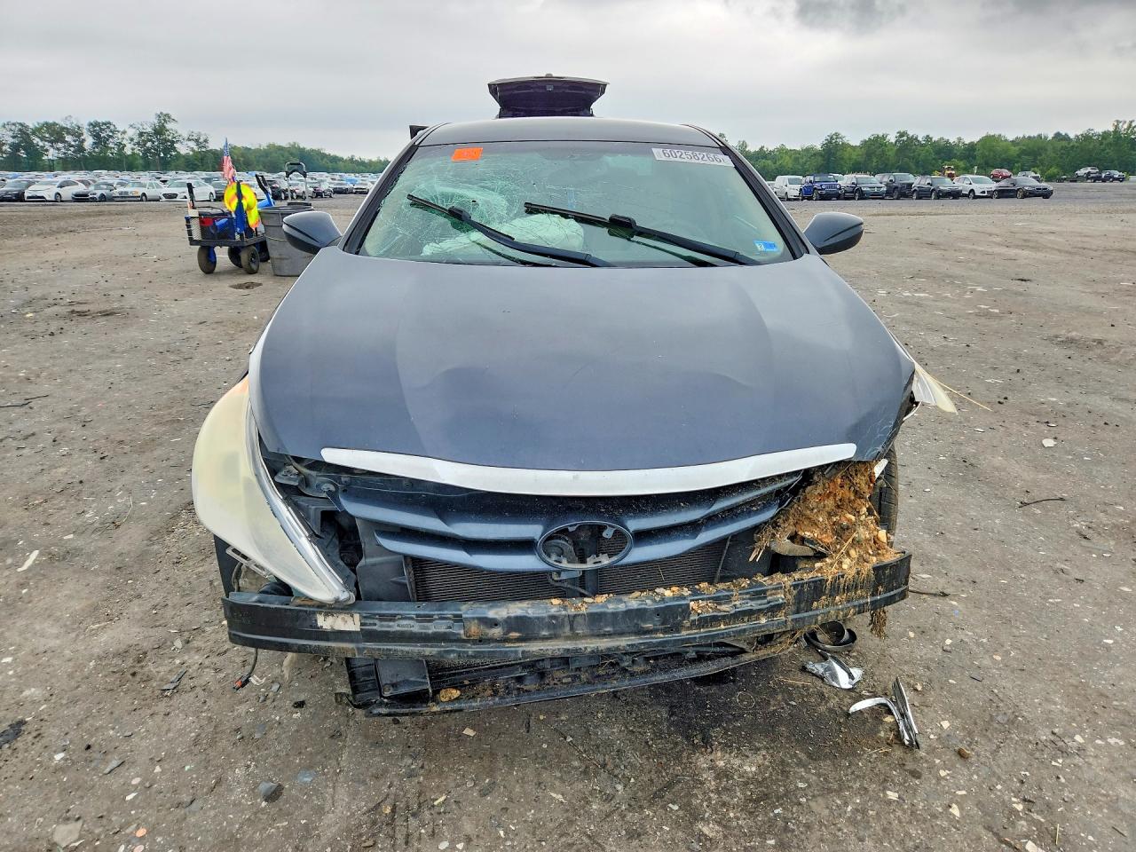 2013 Hyundai Sonata Gls Blue vin: 5NPEB4AC2DH739816