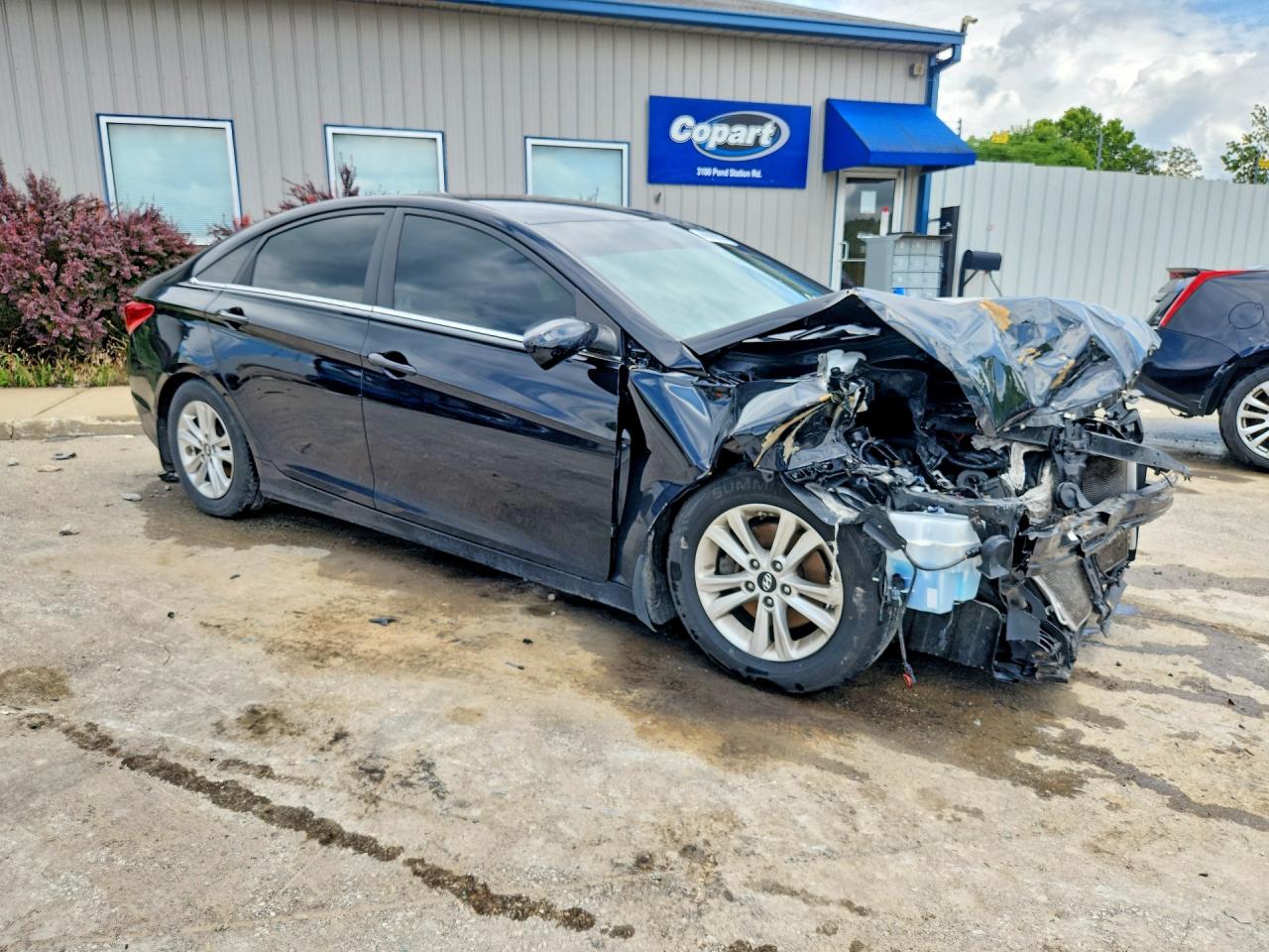 2013 Hyundai Sonata Gls Black vin: 5NPEB4AC3DH791911