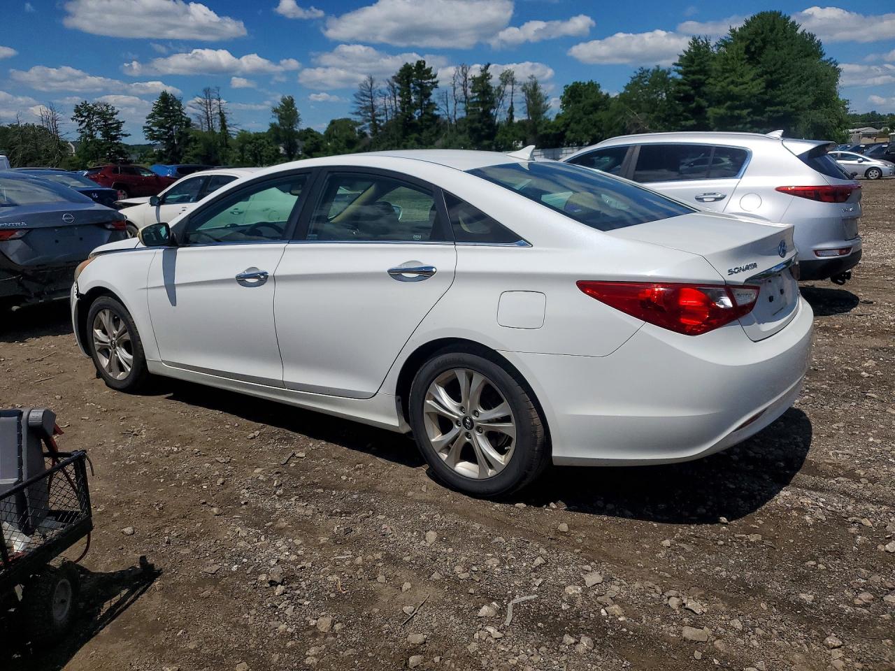2011 Hyundai Sonata Limited White vin: 5NPEC4AC1BH242363