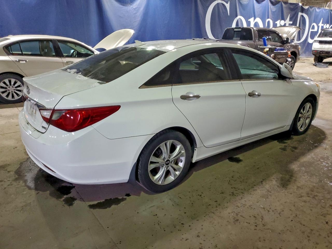2013 Hyundai Sonata Limited White vin: 5NPEC4AC1DH584012