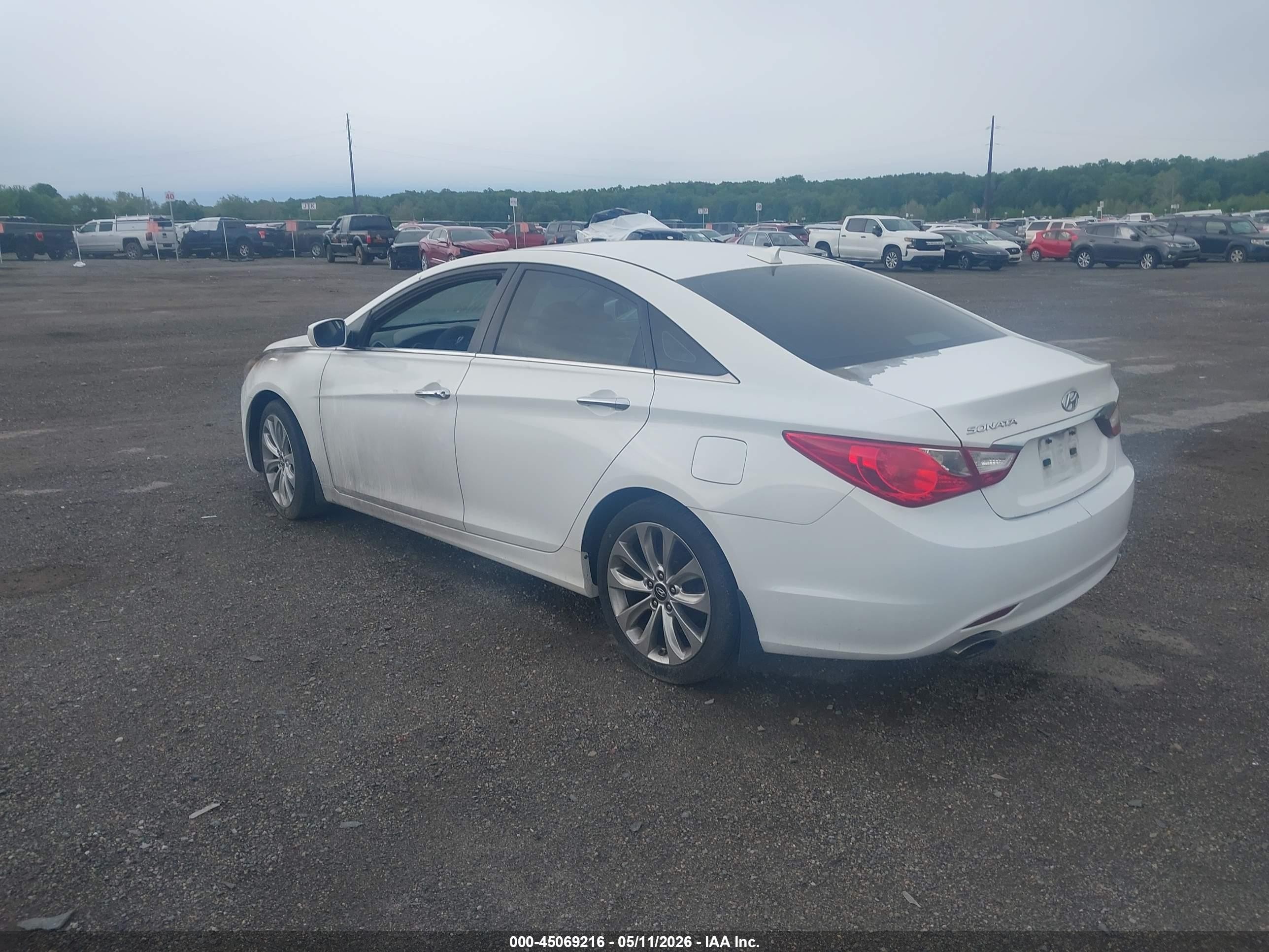 2013 Hyundai Sonata Se Белый vin: 5NPEC4AC9DH574554
