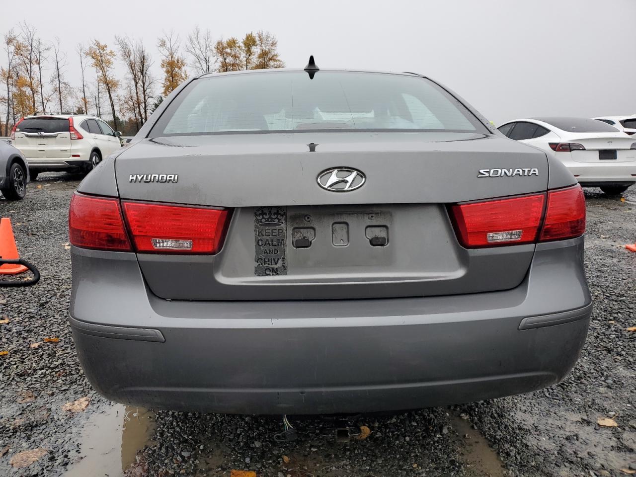 2010 Hyundai Sonata Gls Серый vin: 5NPET4AC5AH594201