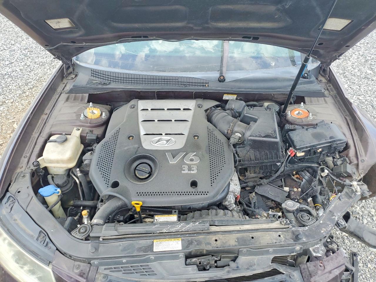 2006 Hyundai Sonata Gls V6 Purple vin: 5NPEU46F96H099197