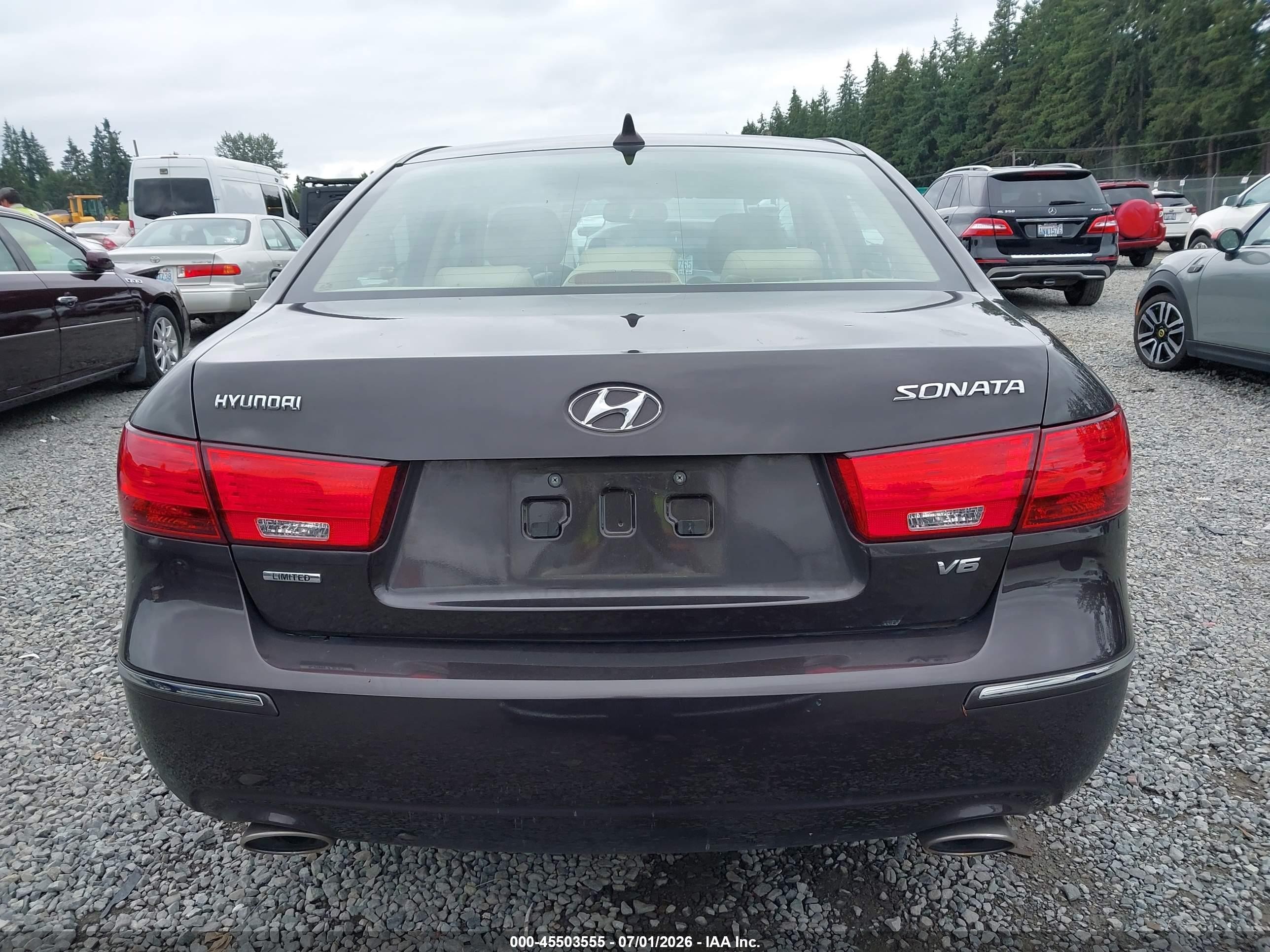 2010 Hyundai Sonata Limited V6 Black vin: 5NPEU4AF5AH593704