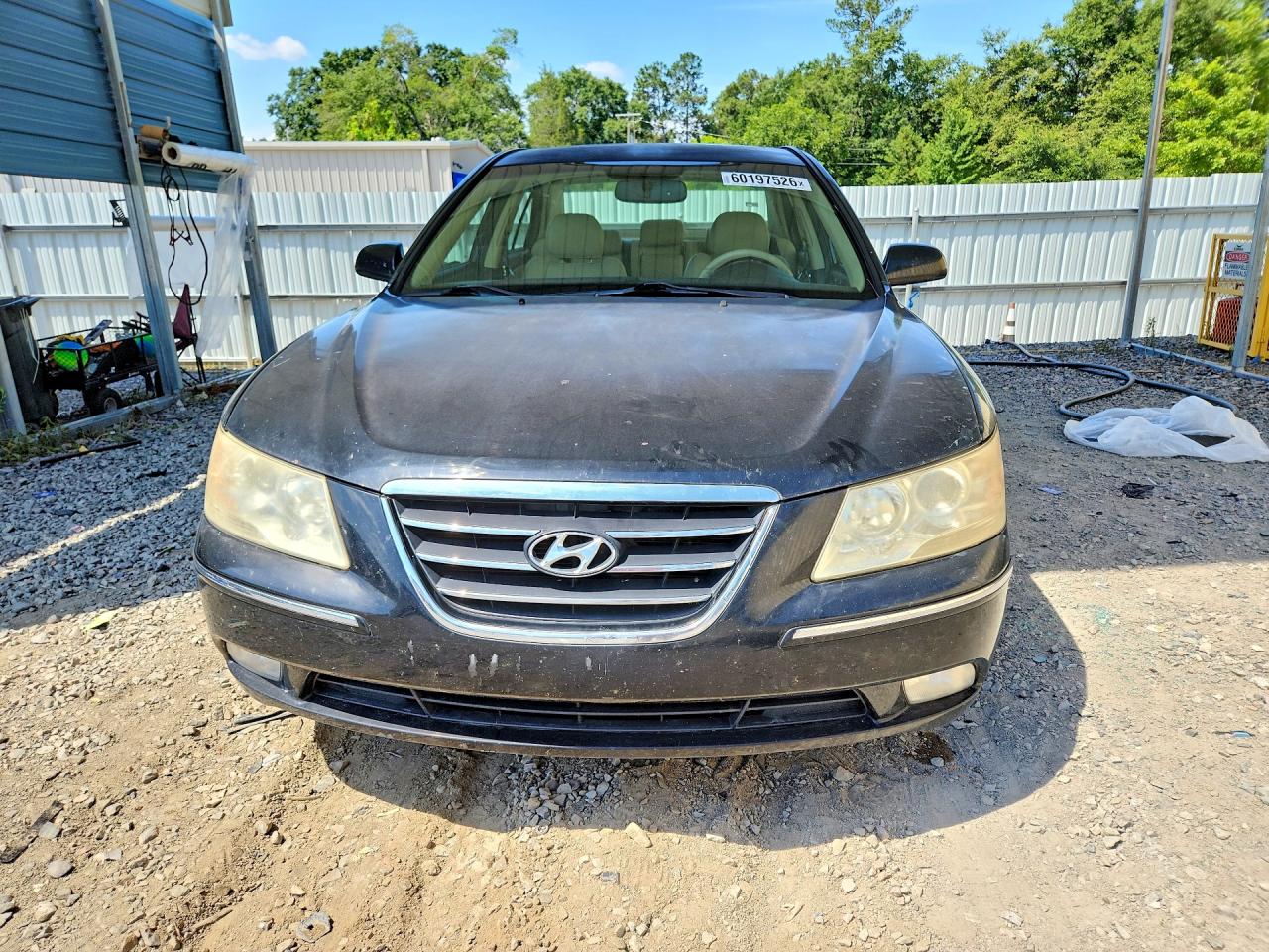 2010 Hyundai Sonata Limited V6 Black vin: 5NPEU4AF6AH609957