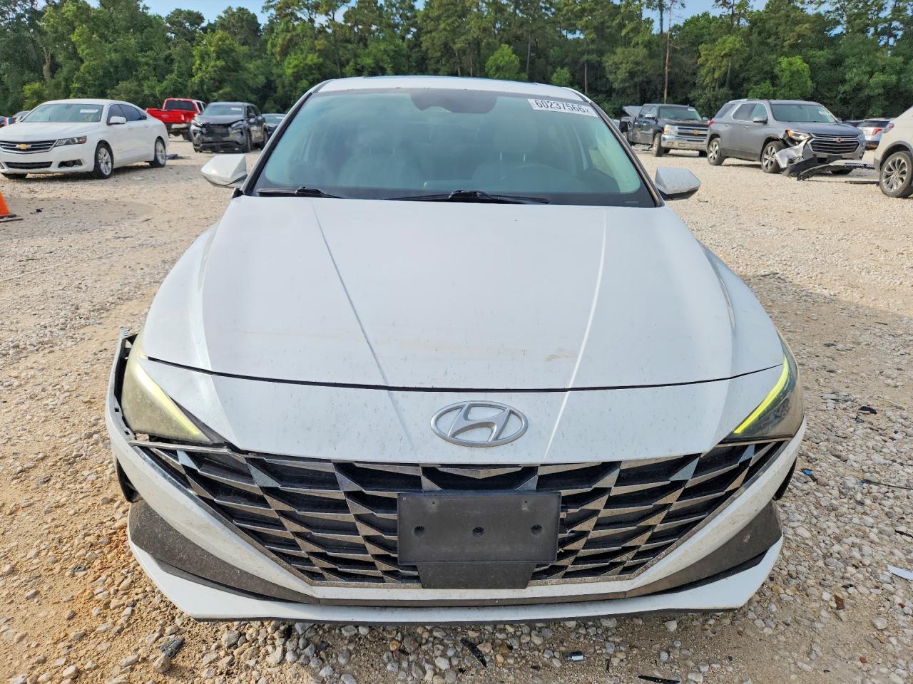 2021 Hyundai Elantra Limited White vin: 5NPLP4AG4MH028792