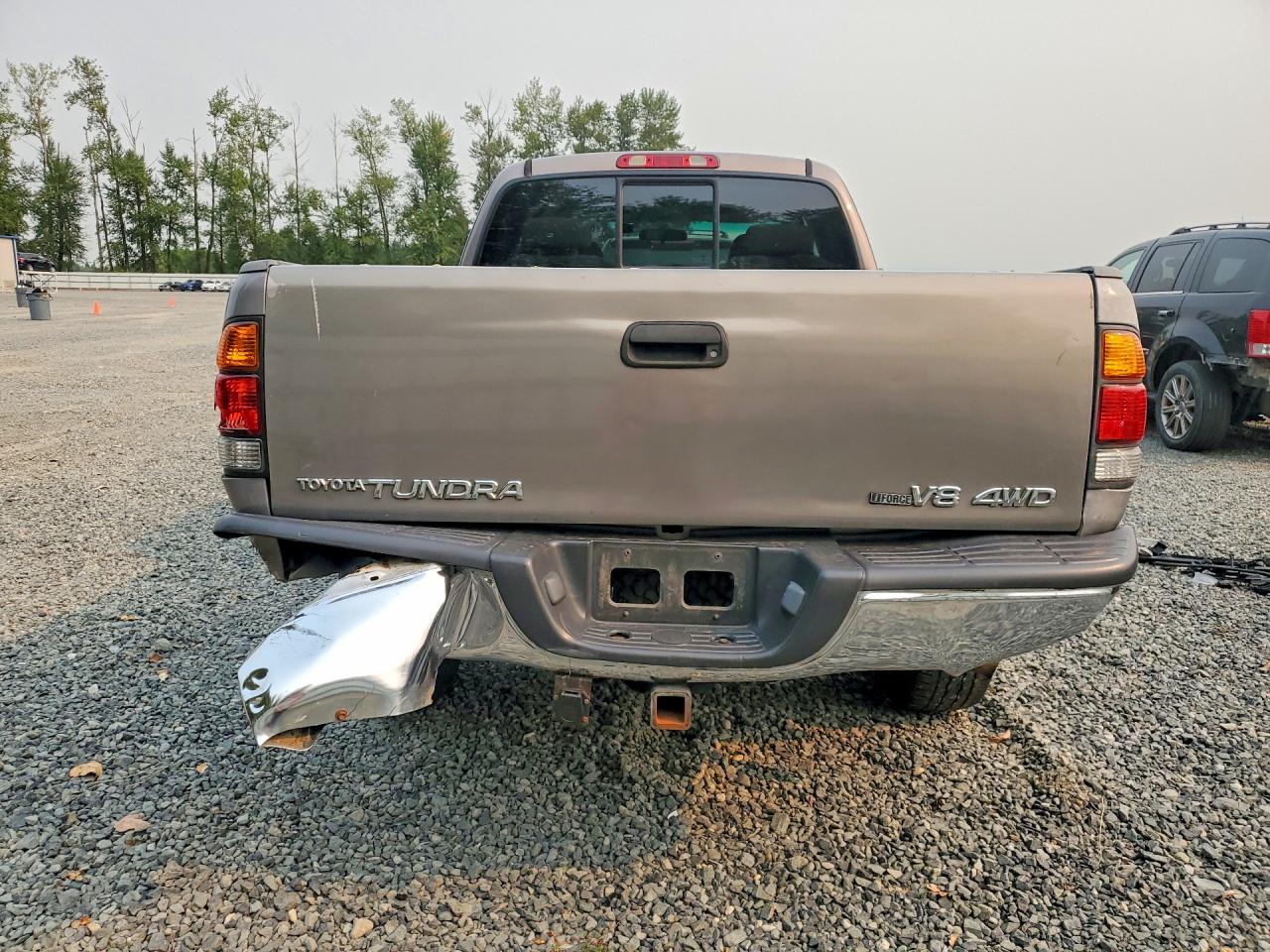 2002 Toyota Tundra Sr5 V8 Серый vin: 5TBBT44102S297922