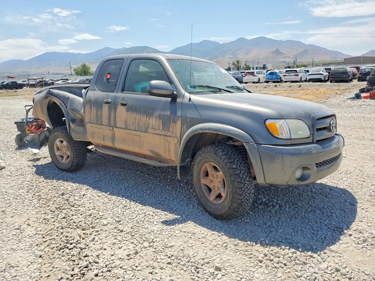 2004 Toyota Tundra Access Cab Limited Tan vin: 5TBBT481X4S445992