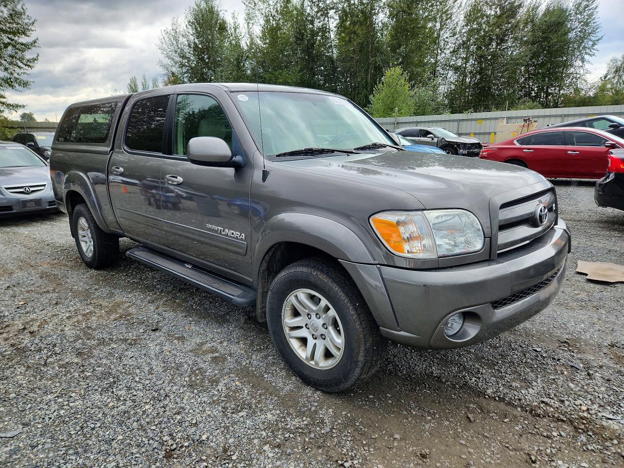 2006 Toyota Tundra Double Cab Limited Серый vin: 5TBDT48166S549892
