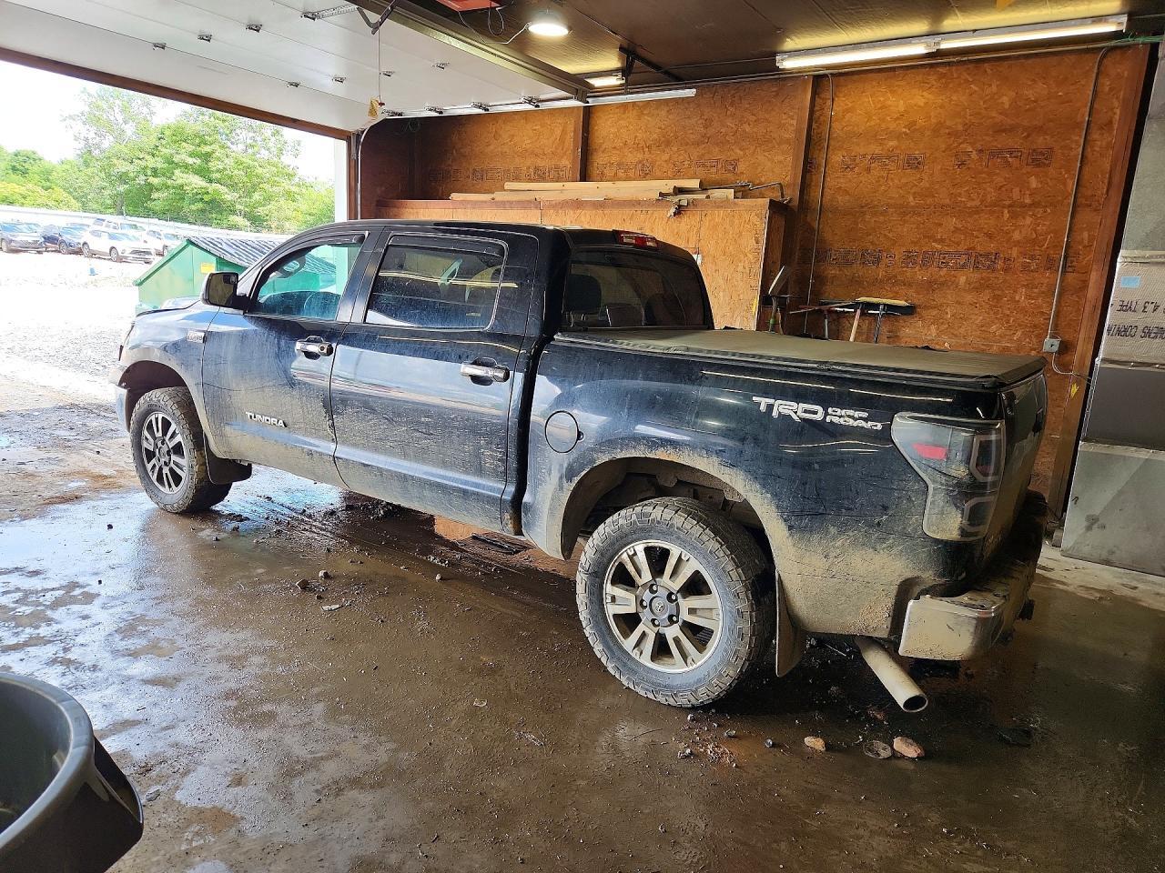 2008 Toyota Tundra Grade Black vin: 5TBDV54168S515685