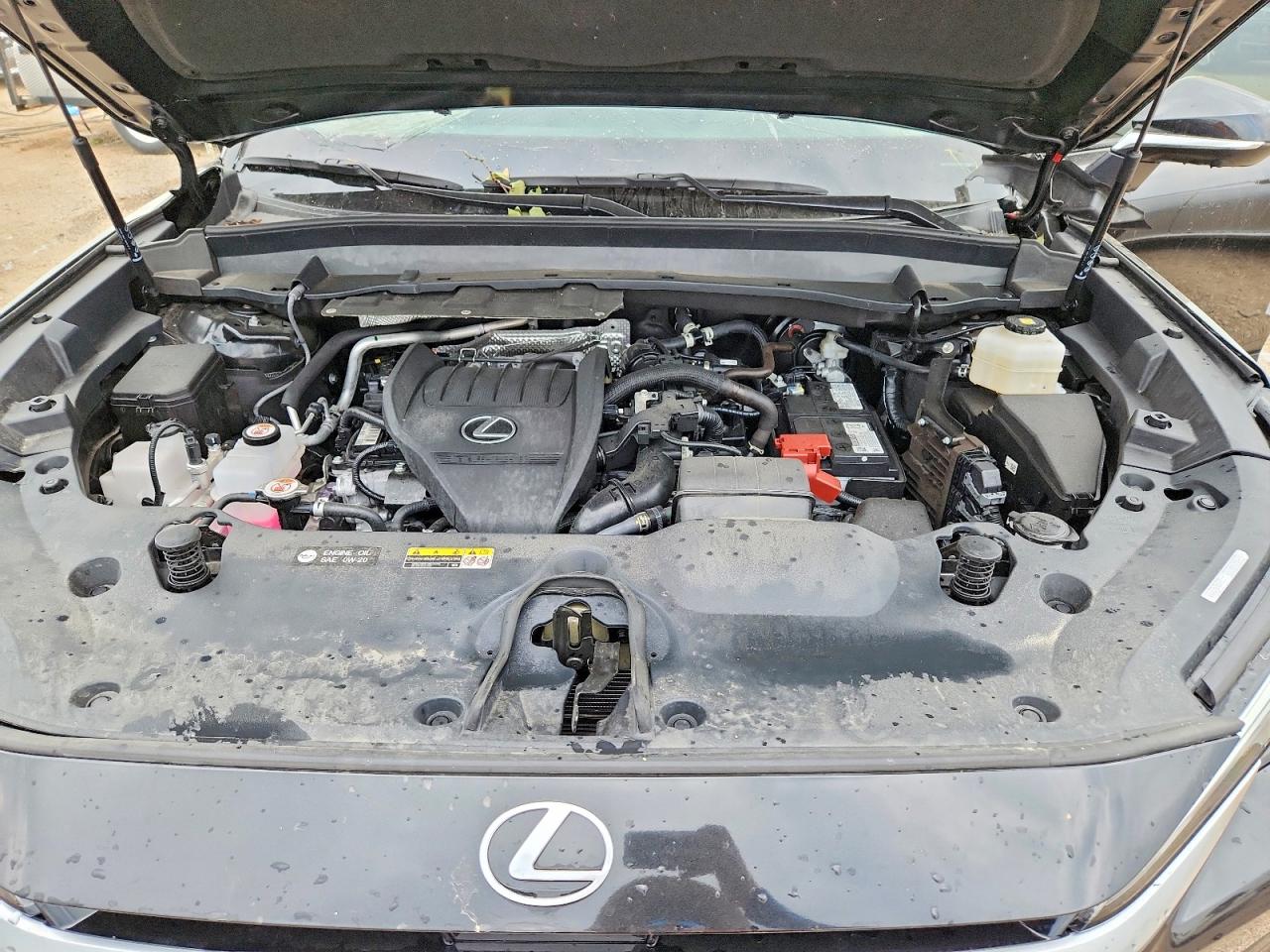 2025 Lexus Tx 350 Premium Black vin: 5TDAAAB66SS040026