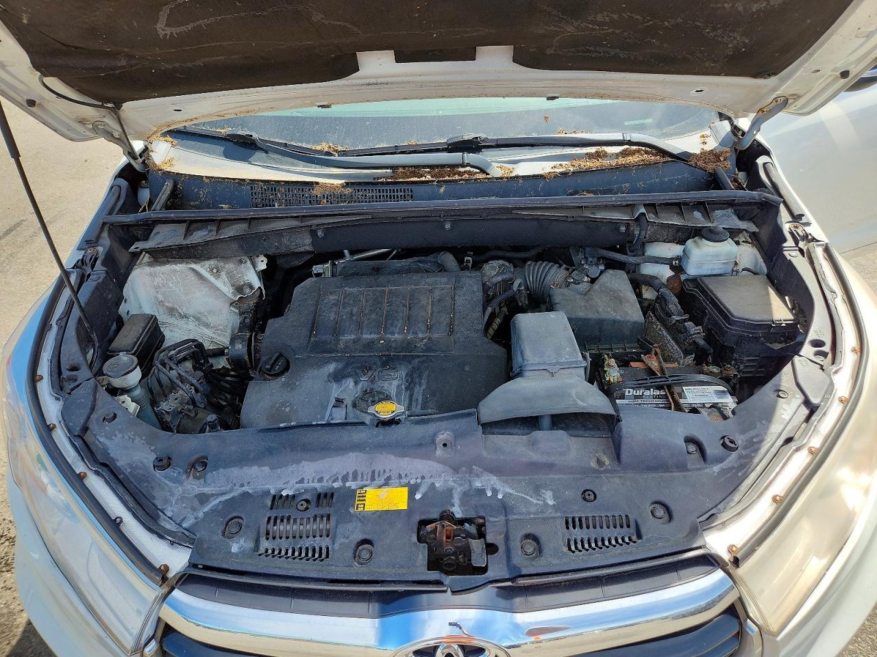 2014 Toyota Highlander Le Белый vin: 5TDBKRFH9ES016318