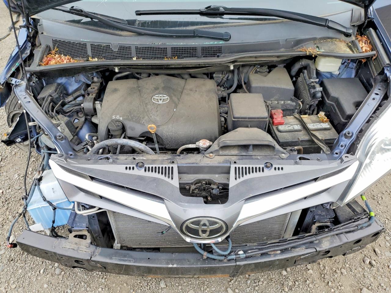 2020 Toyota Sienna Xle 7-passenger Синий vin: 5TDDZ3DC6LS242788