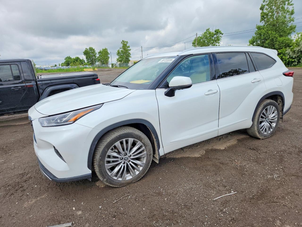 2022 Toyota Highlander Platinum White vin: 5TDFZRBH5NS199896