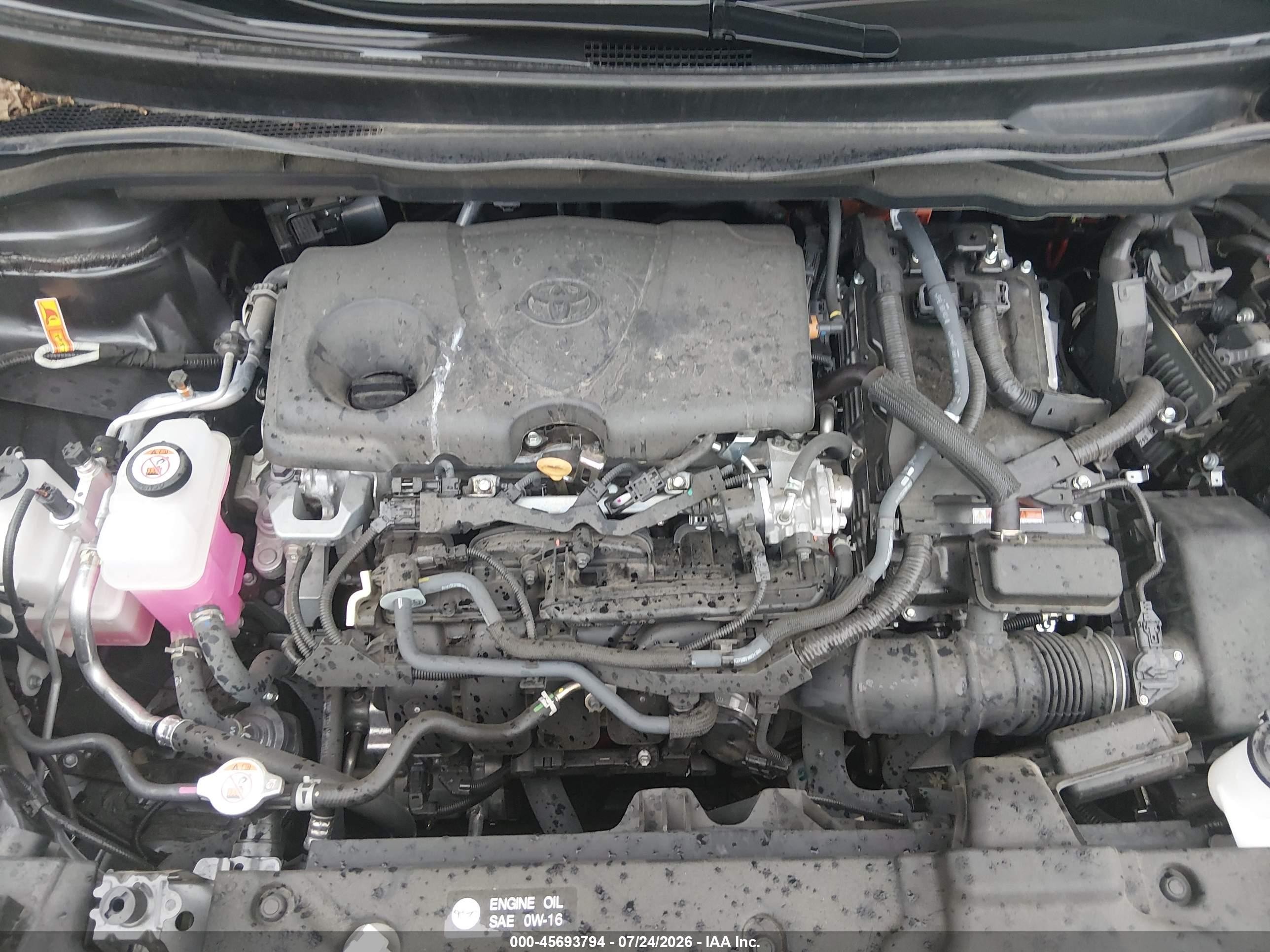2025 Toyota Sienna Xle Black vin: 5TDJRKEC2SS248100