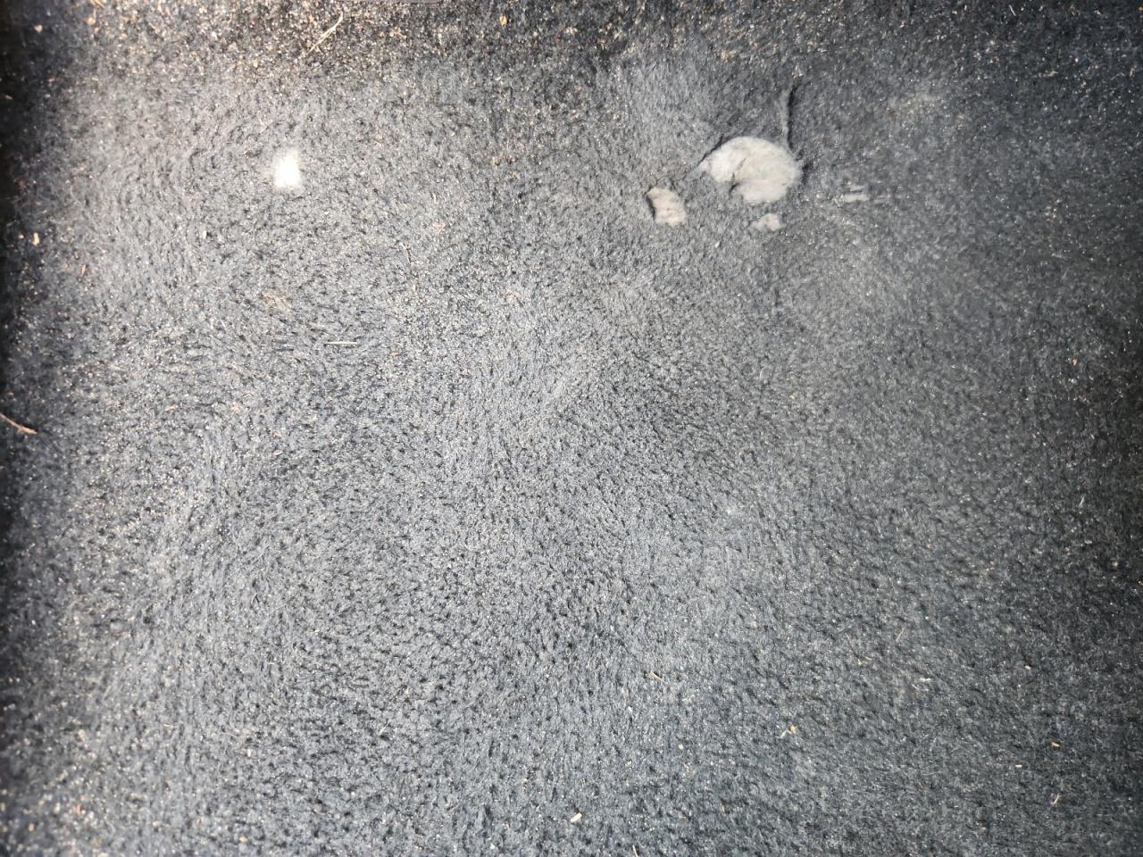 2025 Toyota Highlander Le Black vin: 5TDKDRAH2SS552184 Damage: Left Front Carpet, Worn, Replacement Required