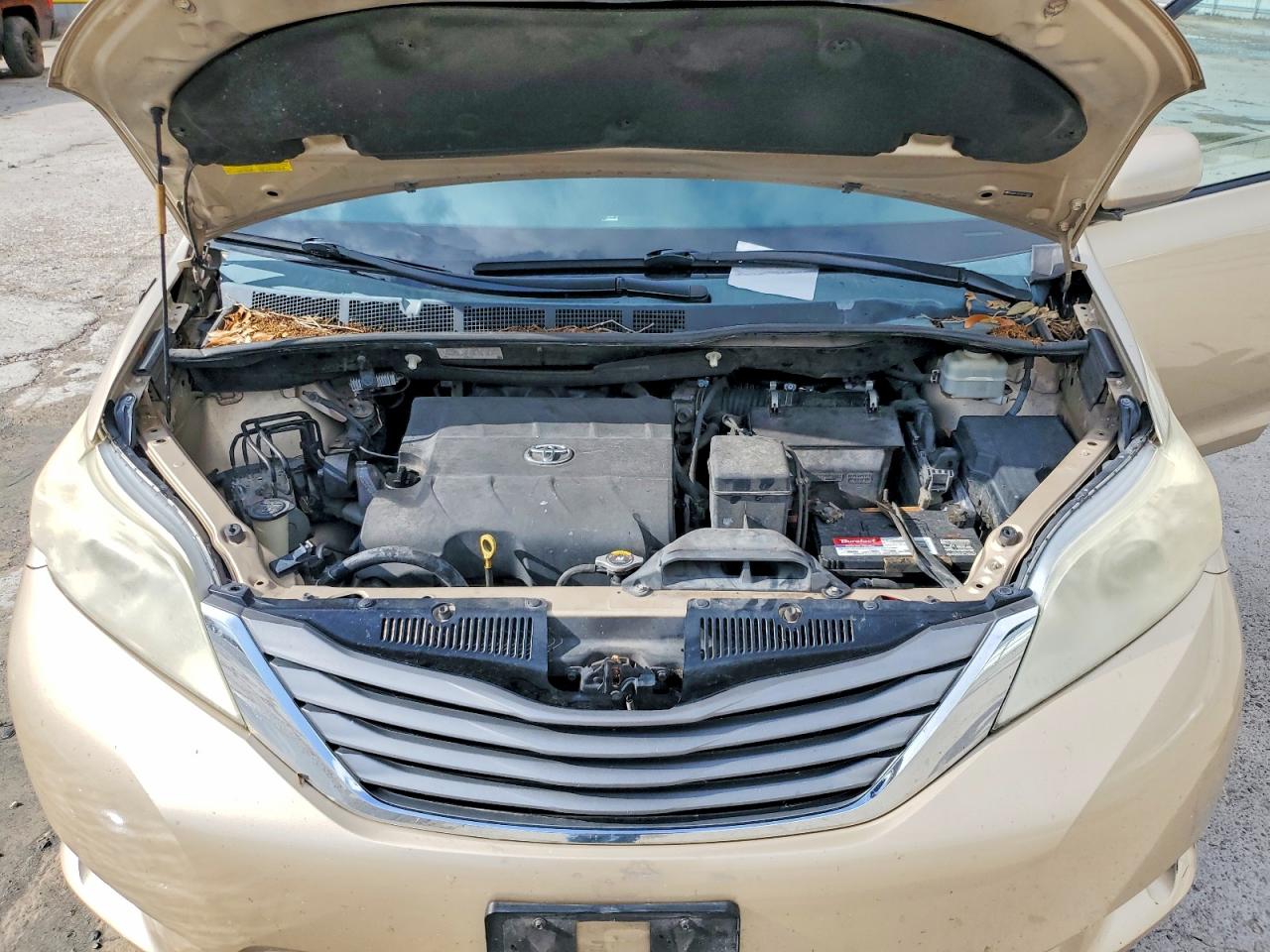 2013 Toyota Sienna Xle 8-passenger Gold vin: 5TDYK3DC0DS310557