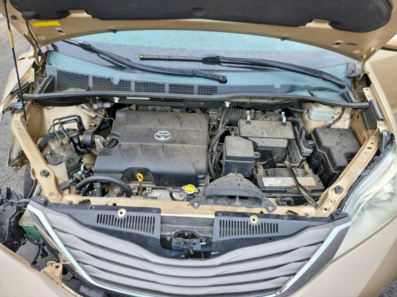 2011 Toyota Sienna Xle 8-passenger Tan vin: 5TDYK3DC5BS131086