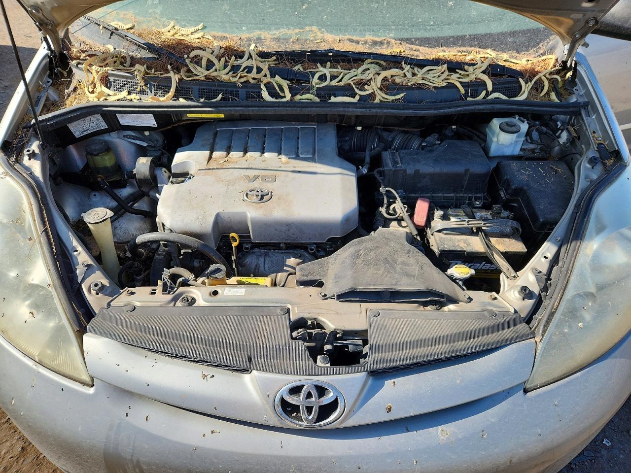 2007 Toyota Sienna Ce 7-passenger Silver vin: 5TDZK23C57S040097