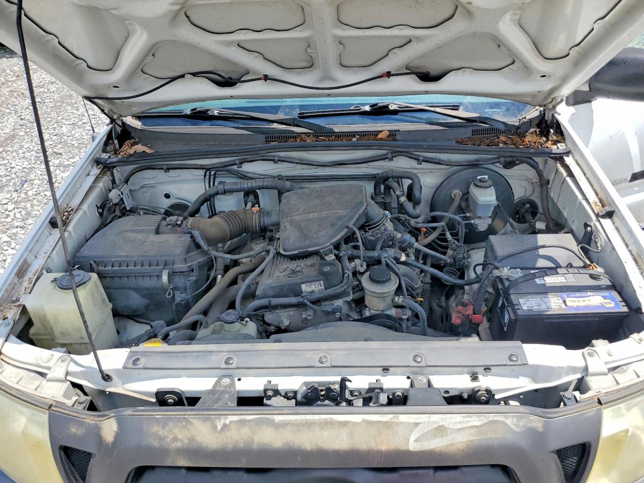 2006 Toyota Tacoma Base White vin: 5TENX22N36Z197454