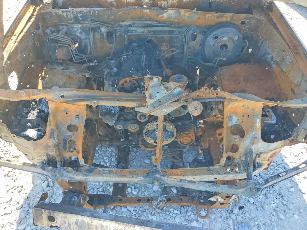 2009 Toyota Tacoma Base Burn vin: 5TENX22N69Z604560