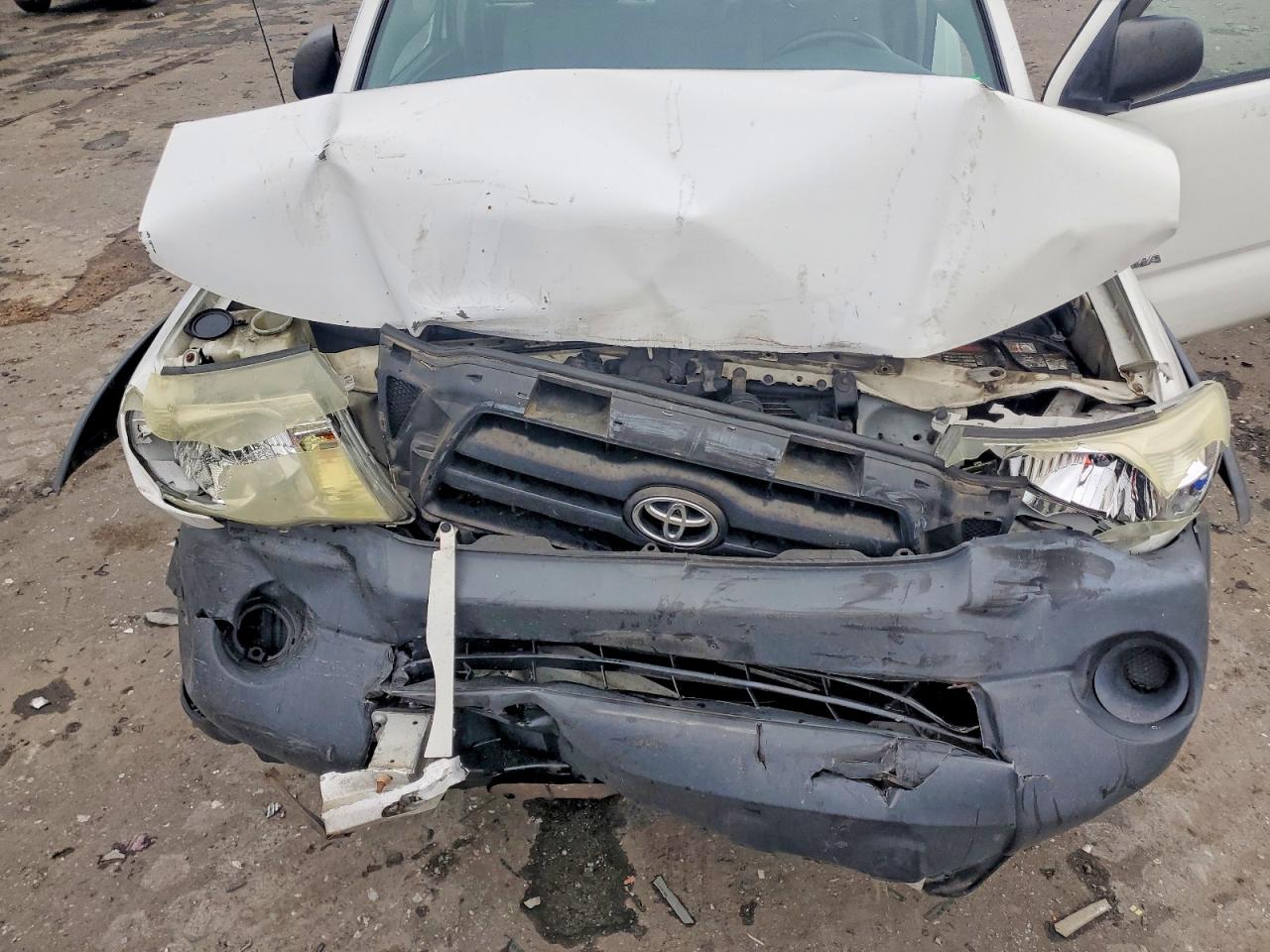 2008 Toyota Tacoma Base Белый vin: 5TEPX42NX8Z572795