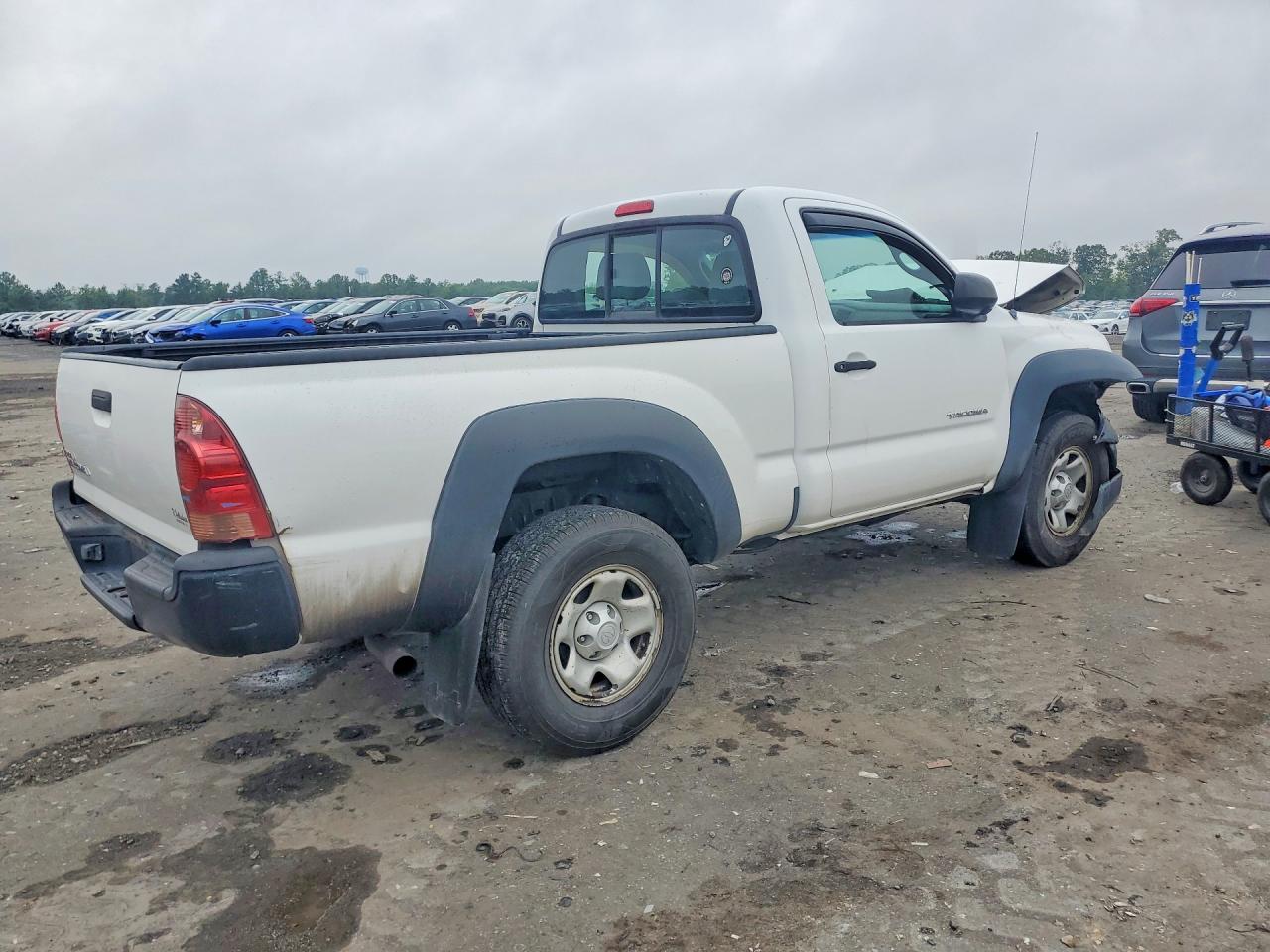 2008 Toyota Tacoma Base Белый vin: 5TEPX42NX8Z572795