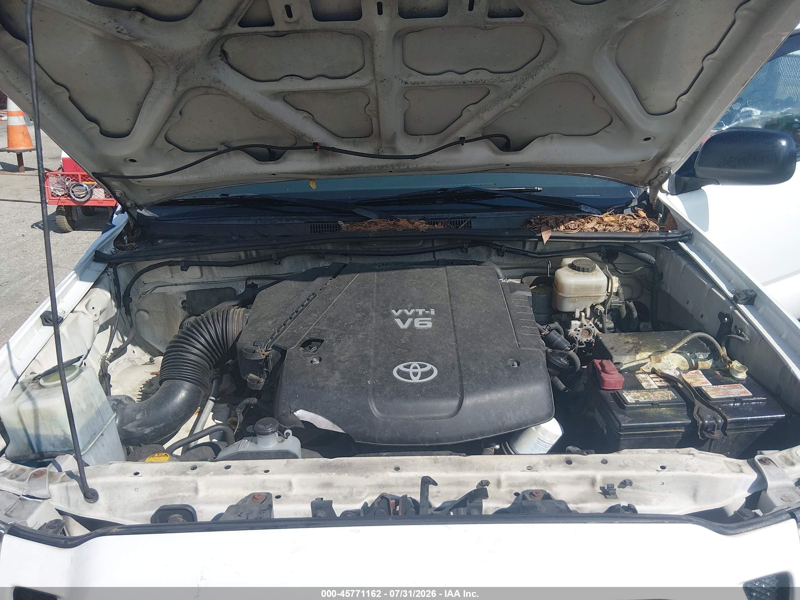 2009 Toyota Tacoma Base V6 Белый vin: 5TEUU42N09Z649672