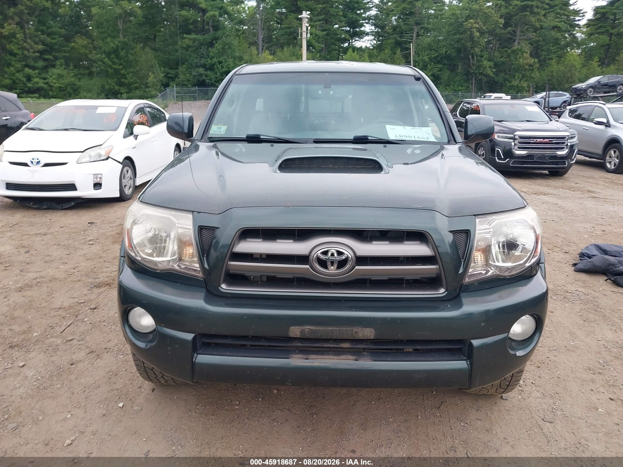2009 Toyota Tacoma Base V6 Green vin: 5TEUU42N29Z632162