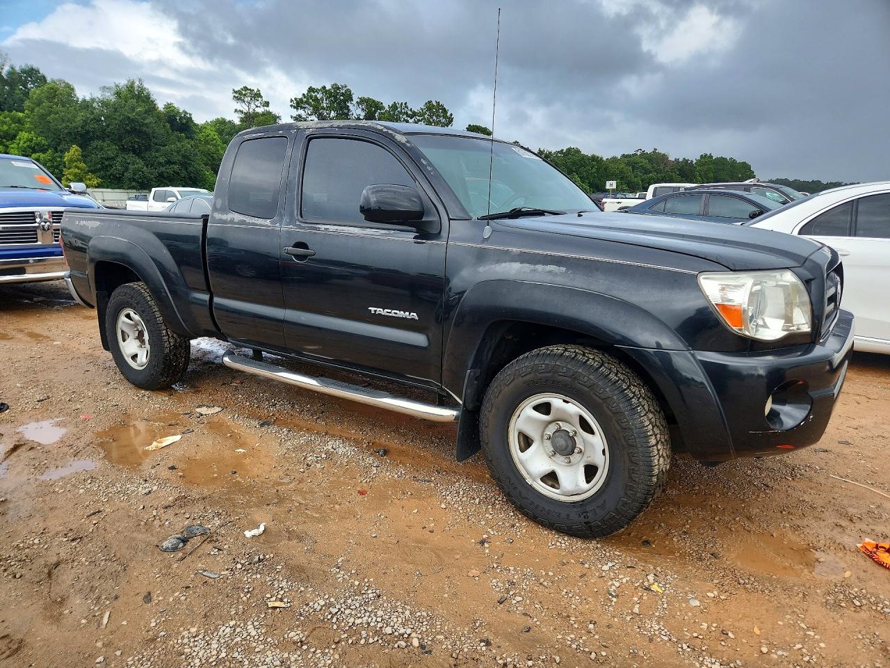 2005 Toyota Tacoma Access Cab Gray vin: 5TEUU42N45Z004629