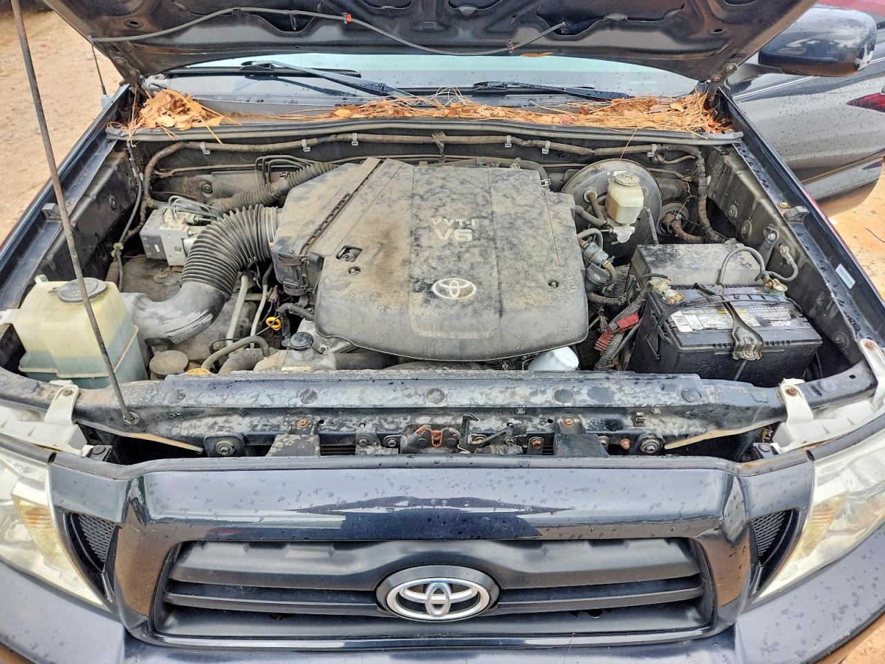 2005 Toyota Tacoma Access Cab Gray vin: 5TEUU42N45Z004629