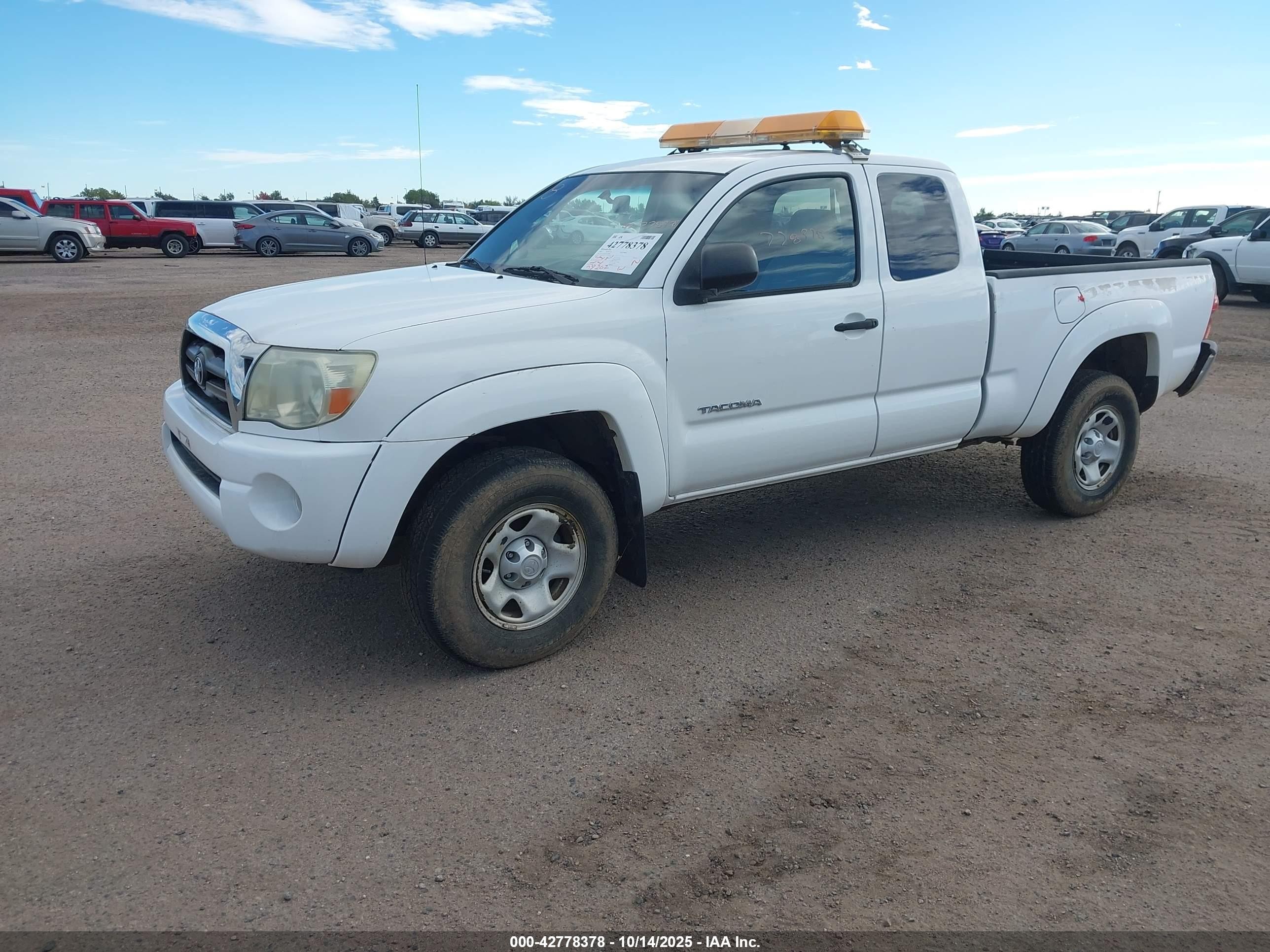 2005 Toyota Tacoma Base V6 White vin: 5TEUU42N45Z130280