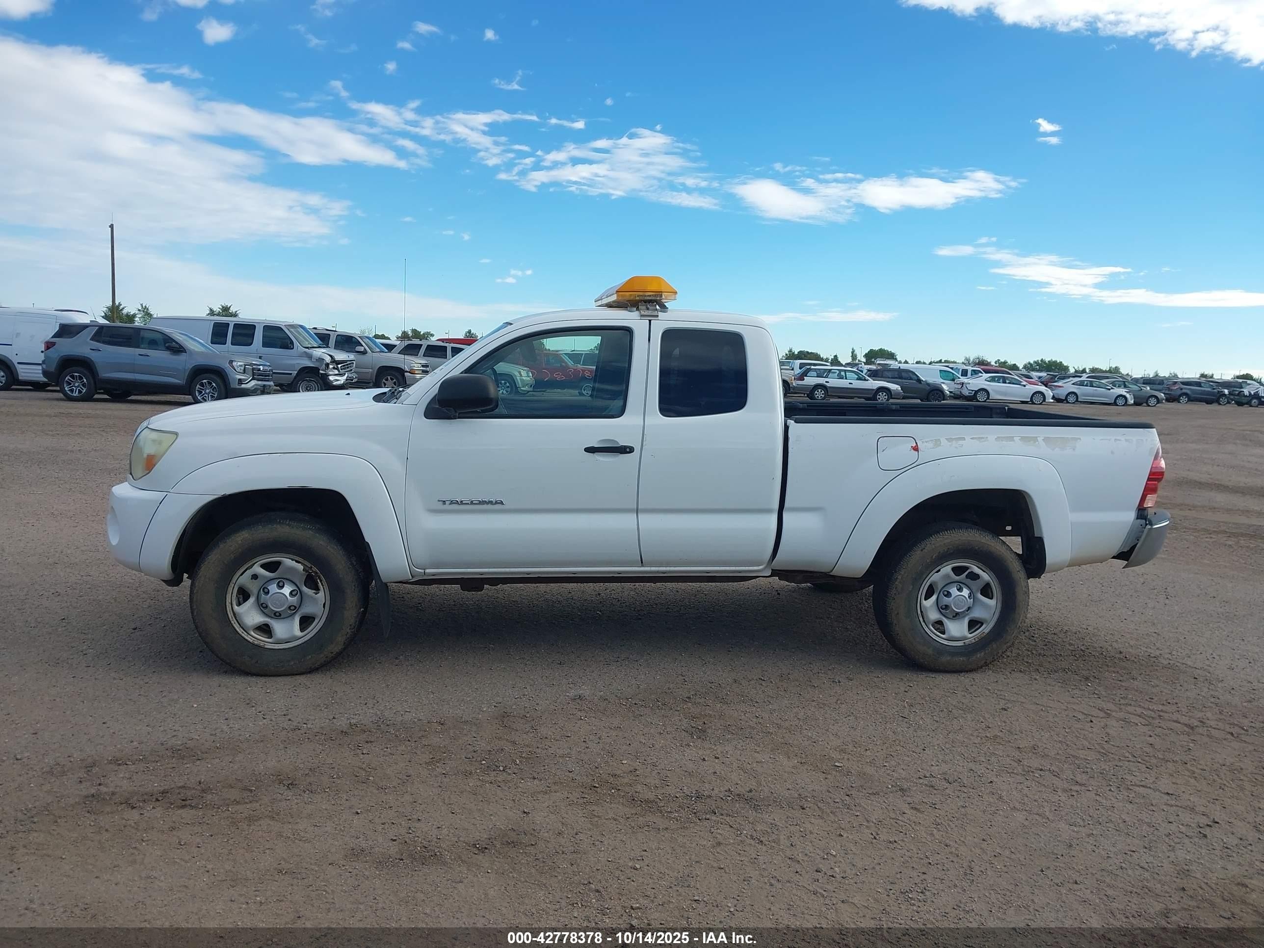 2005 Toyota Tacoma Base V6 White vin: 5TEUU42N45Z130280
