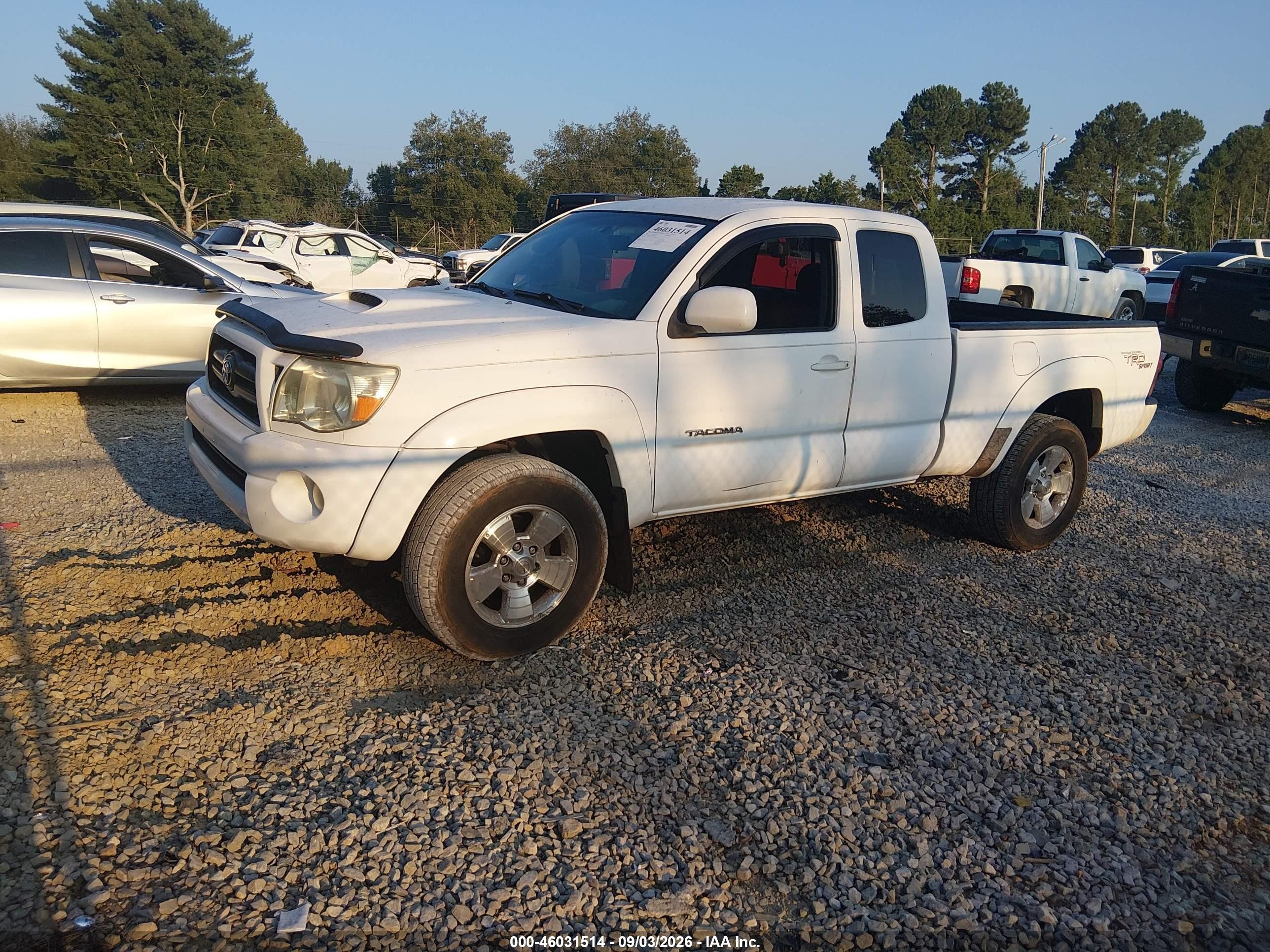 2005 Toyota Tacoma Base V6 White vin: 5TEUU42NX5Z015585