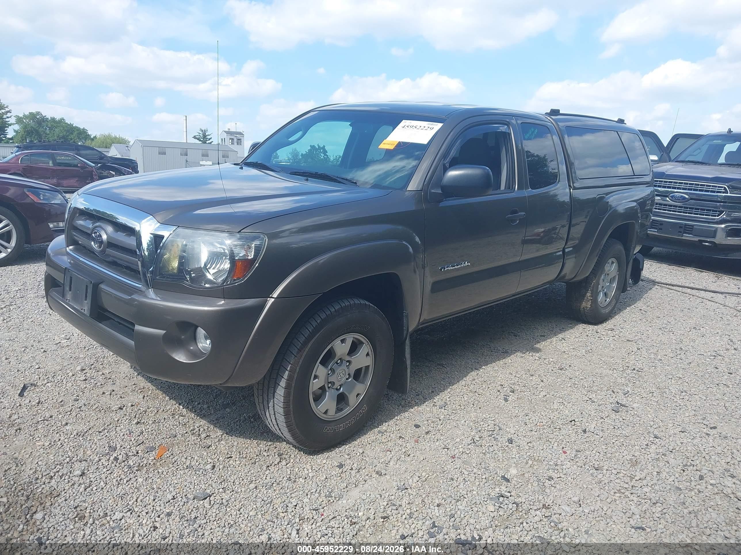 2010 Toyota Tacoma Base V6 Brown vin: 5TEUU4EN2AZ720287