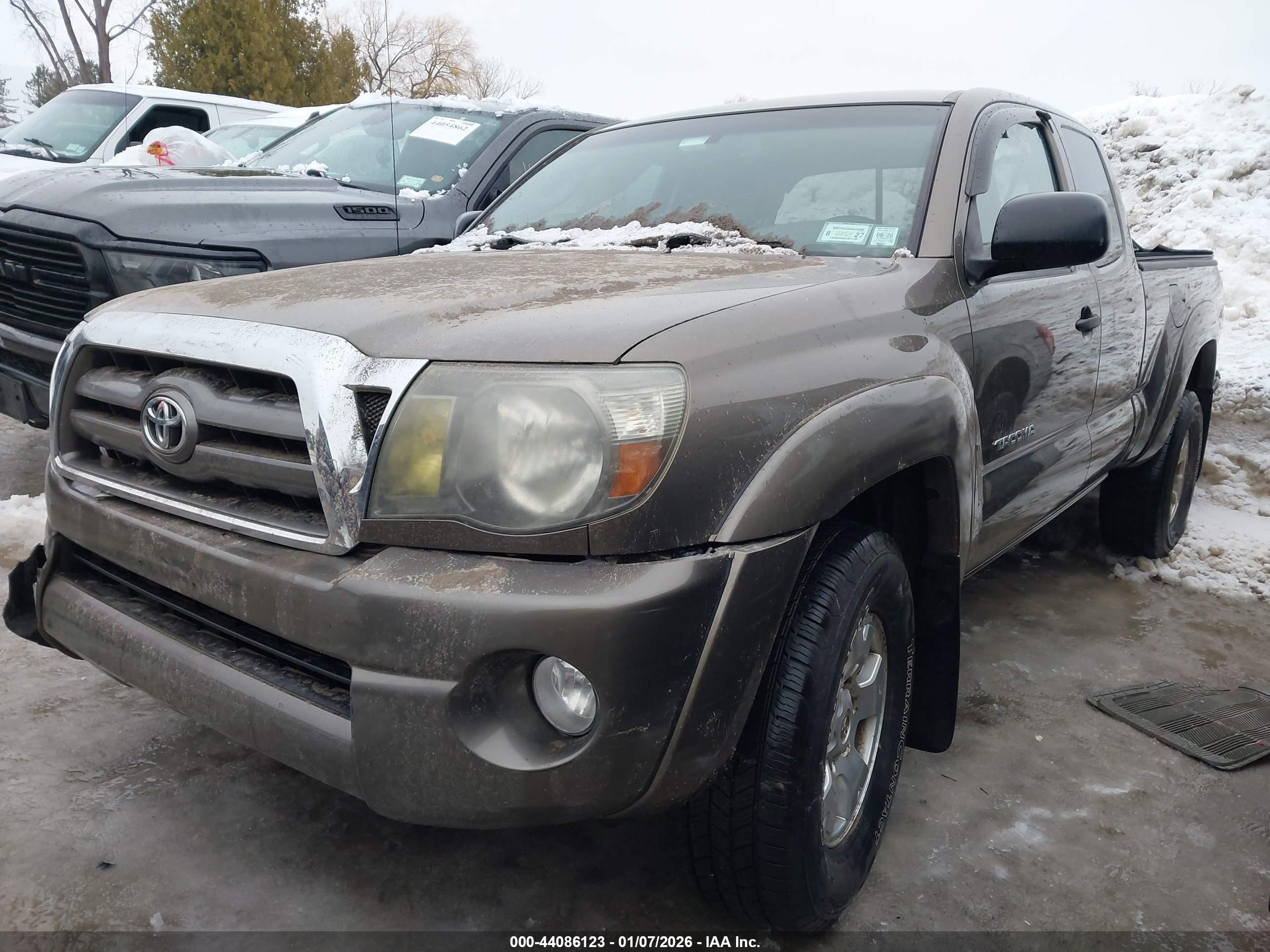 2010 Toyota Tacoma Base V6 Brown vin: 5TEUU4EN4AZ733686