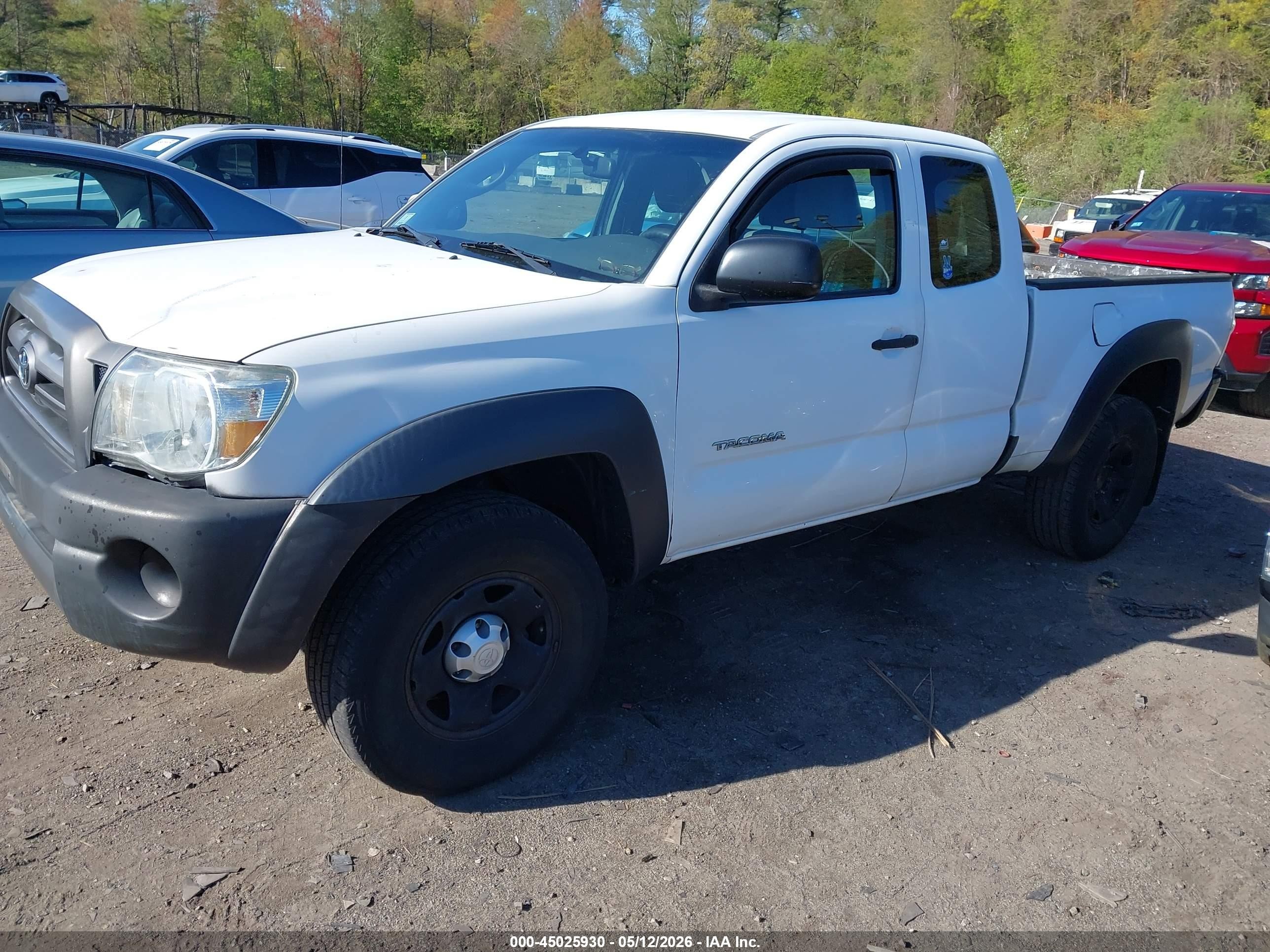 2010 Toyota Tacoma Base V6 White vin: 5TEUU4EN8AZ706216