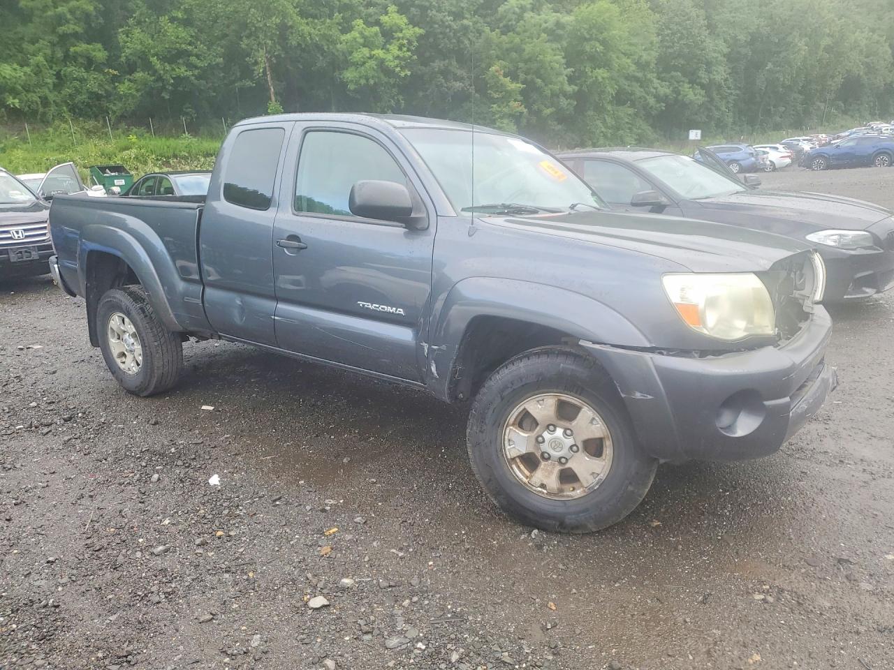 2009 Toyota Tacoma Access Cab Gray vin: 5TEUX42N39Z601297