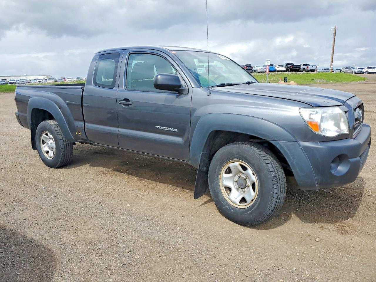 2009 Toyota Tacoma Access Cab Gray vin: 5TEUX42N79Z649448