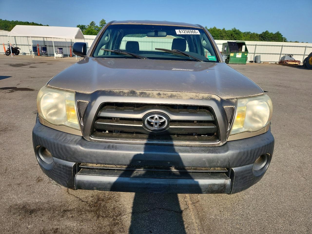 2008 Toyota Tacoma Access Cab Cream vin: 5TEUX42N98Z474747