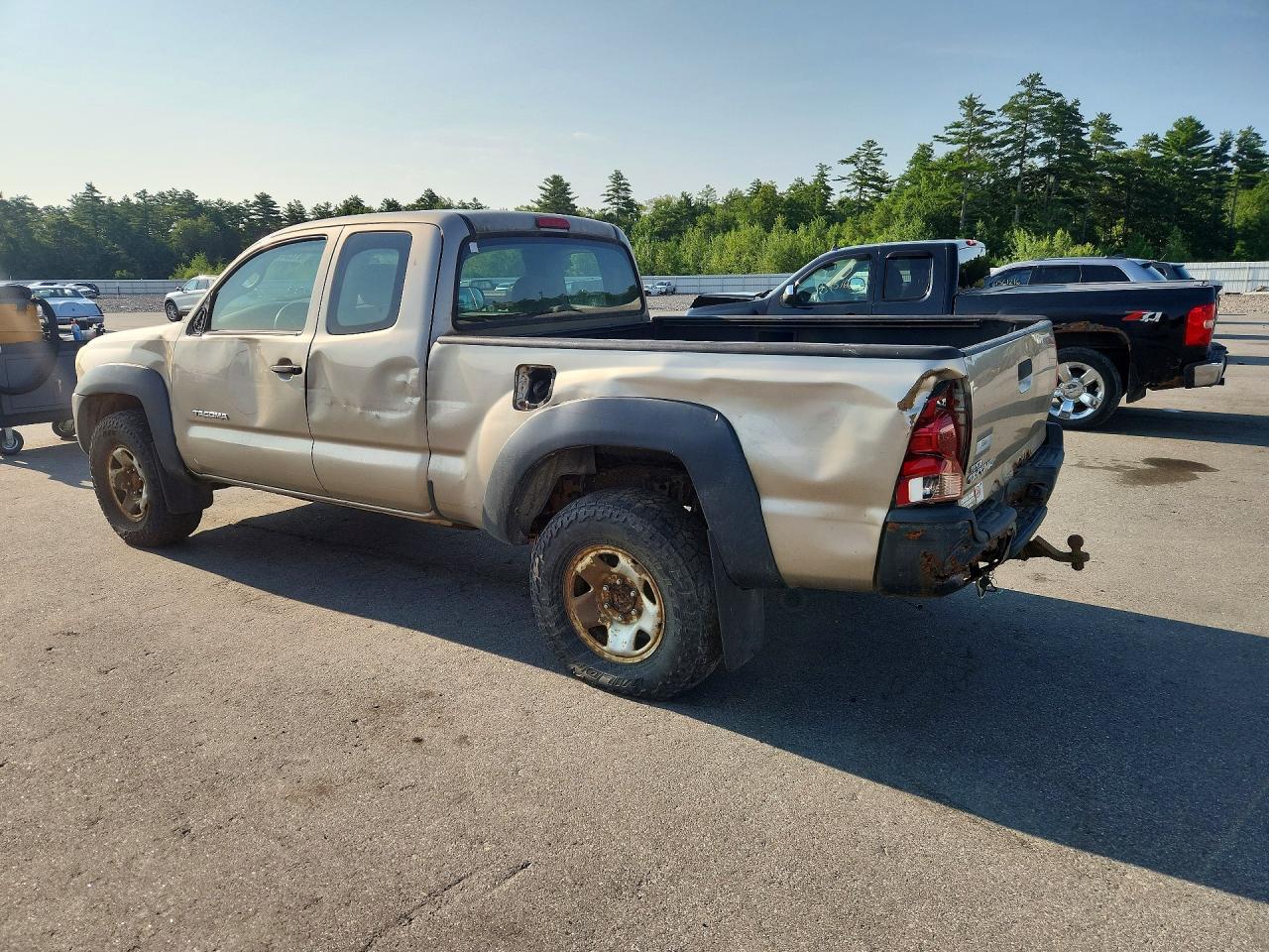 2008 Toyota Tacoma Access Cab Cream vin: 5TEUX42N98Z474747
